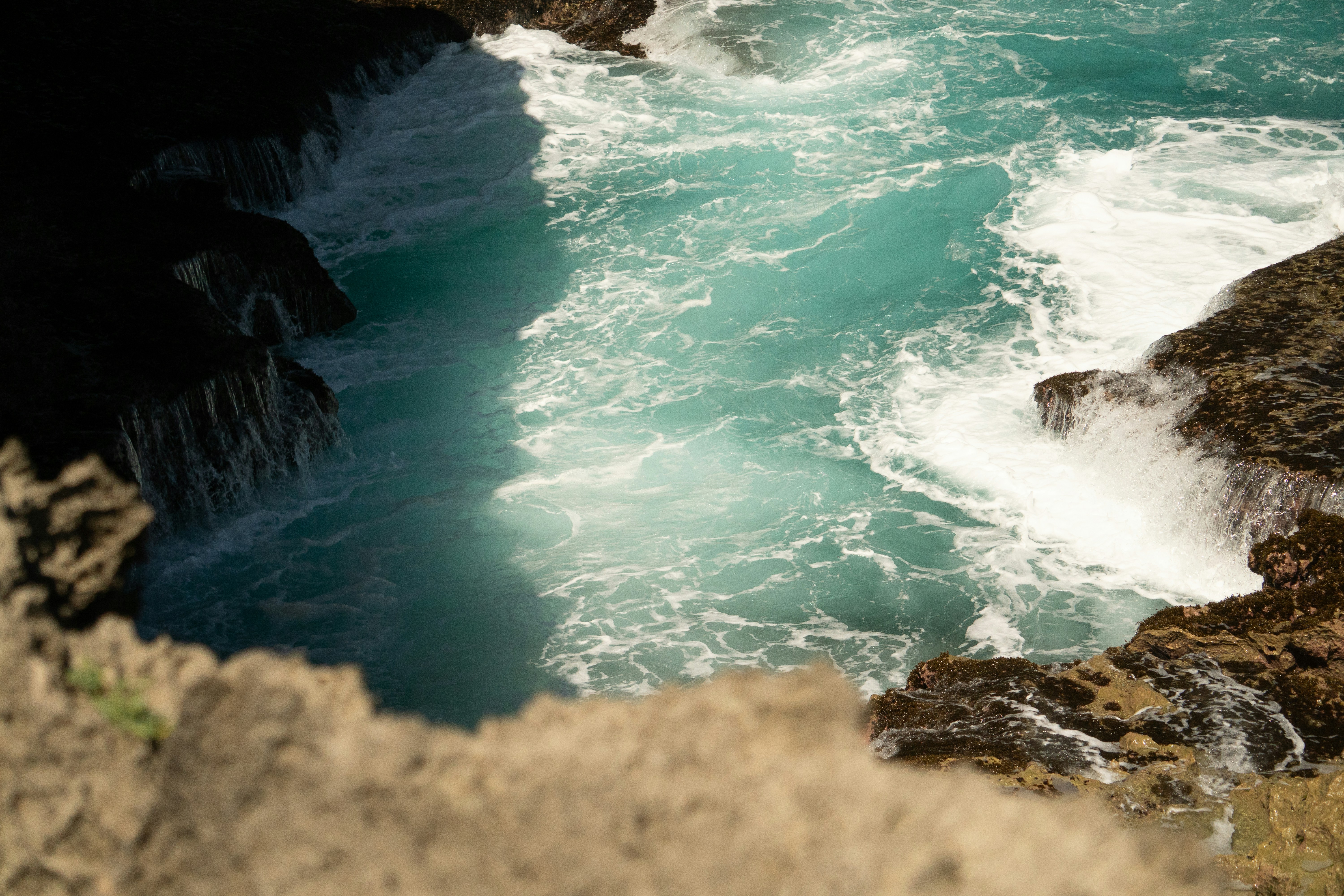 Photo by angelicateranp