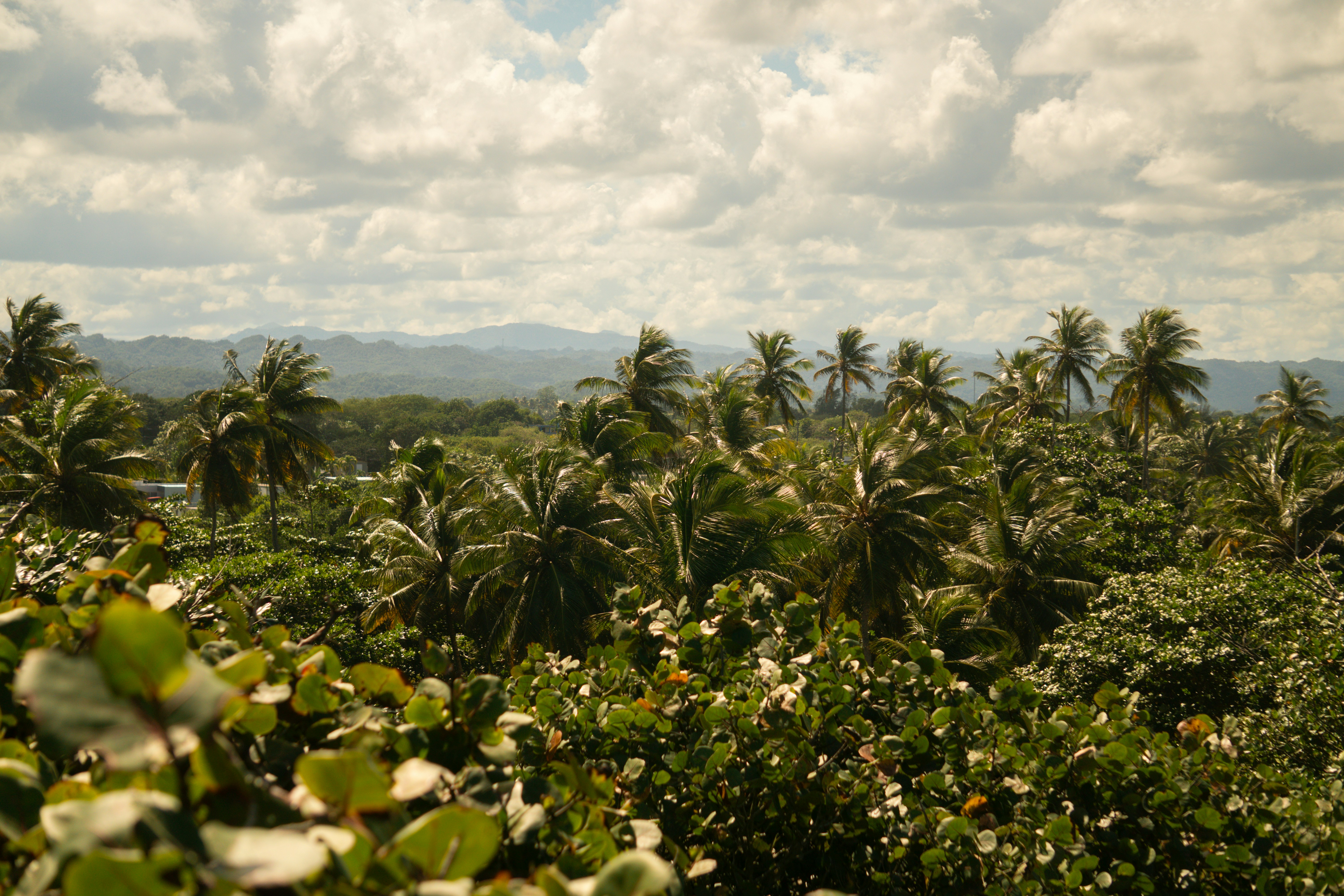 Photo by angelicateranp