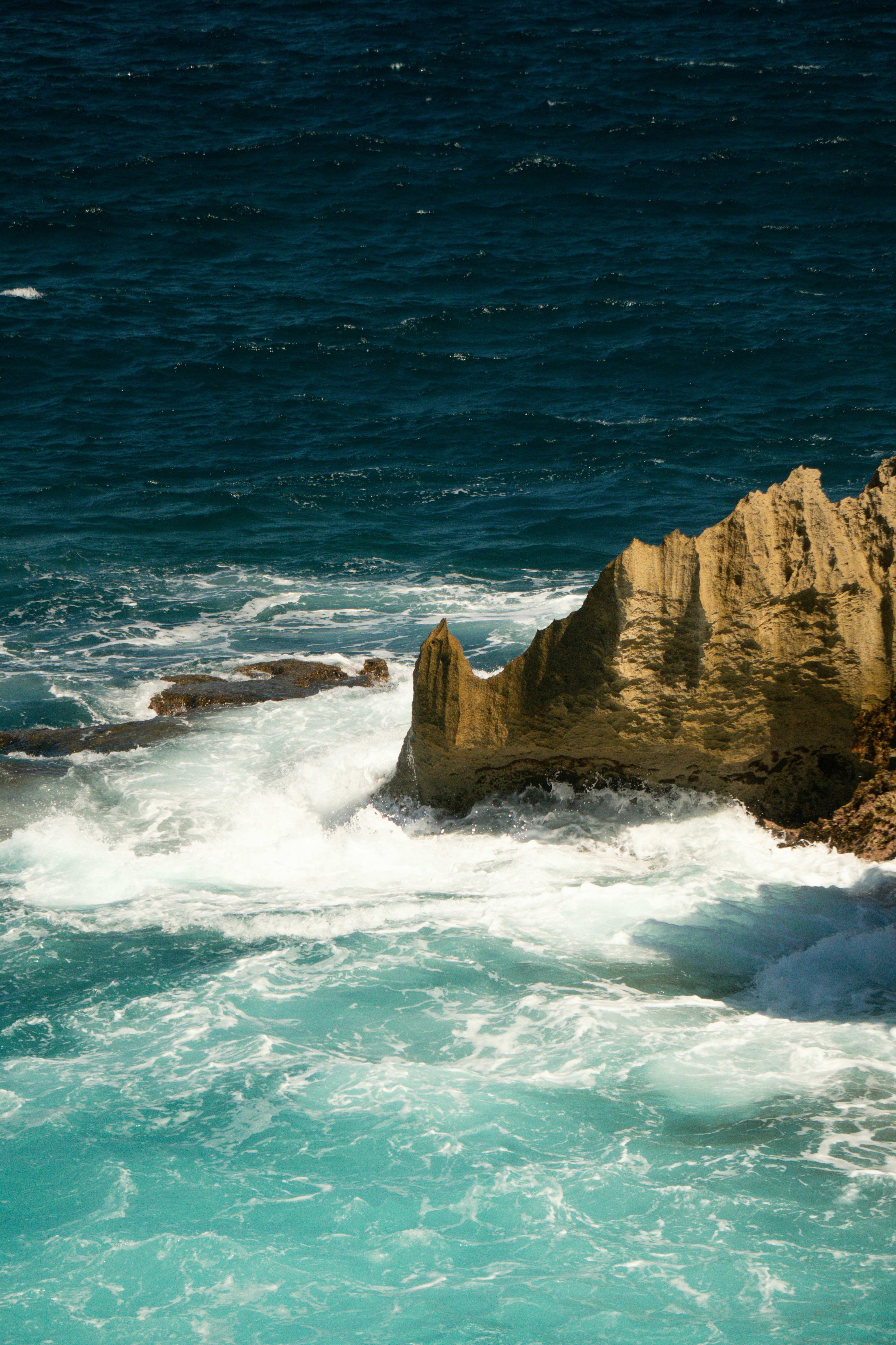 Photo by angelicateranp