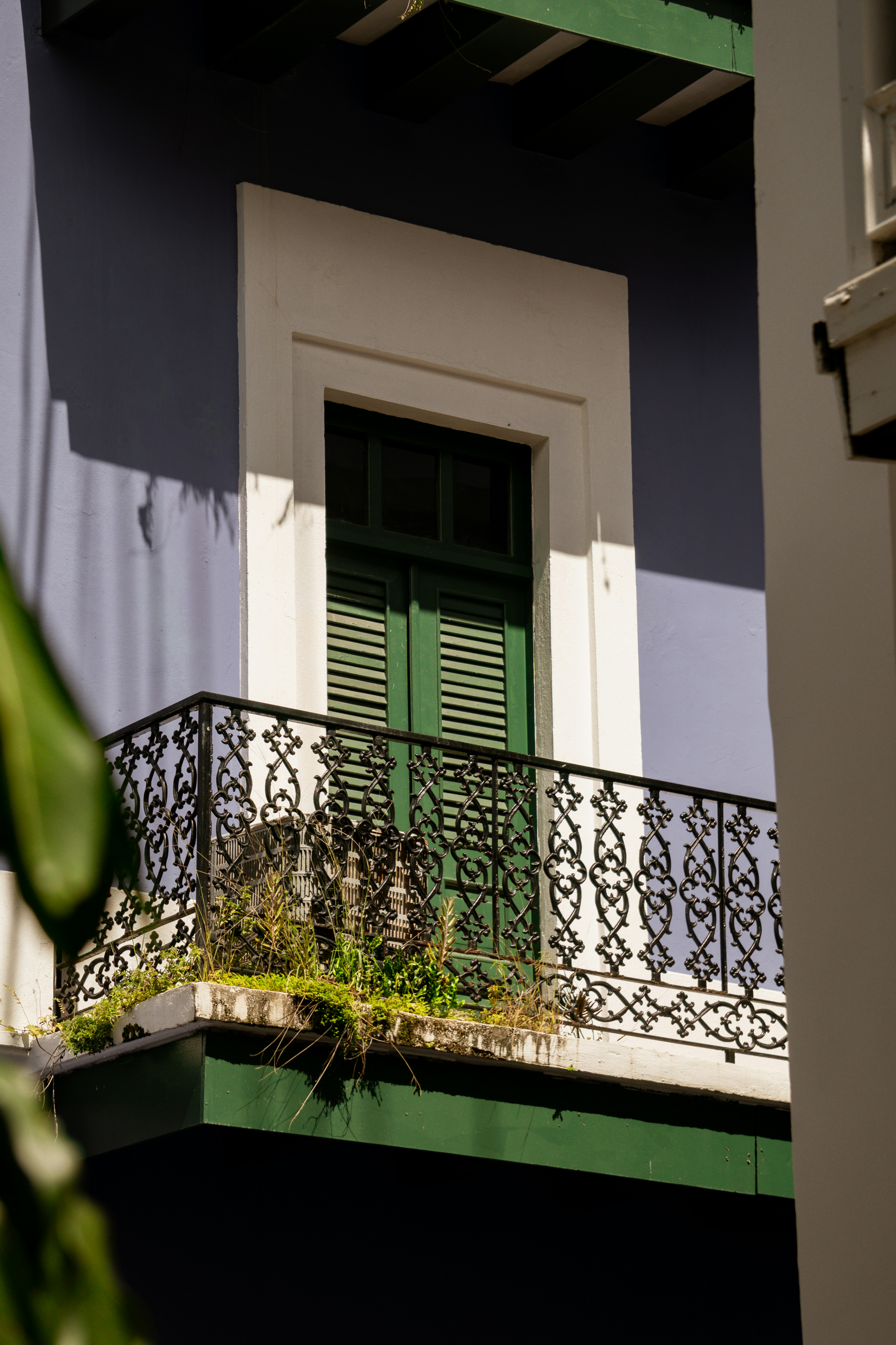 Photo by angelicateranp