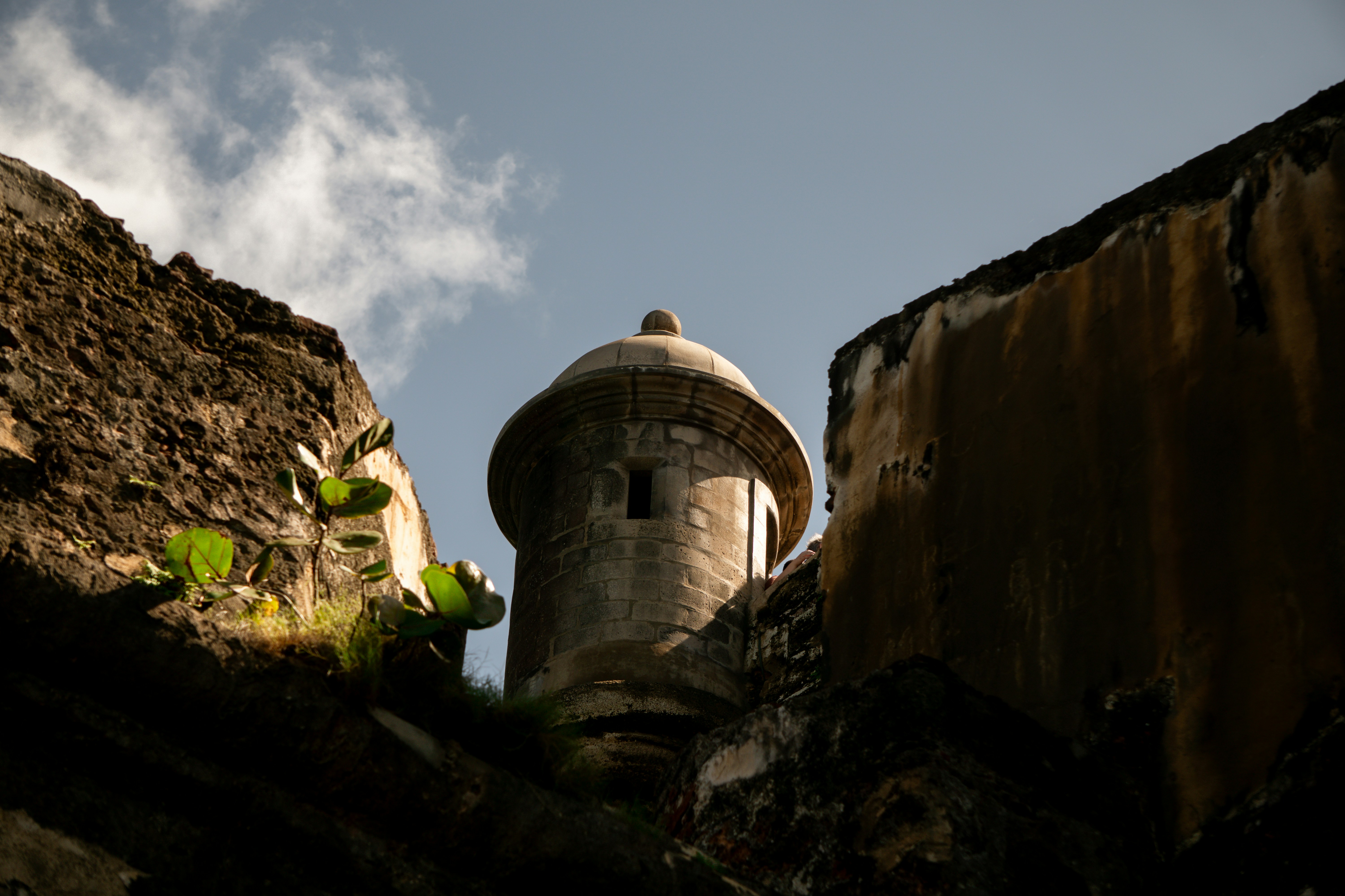 Photo by angelicateranp