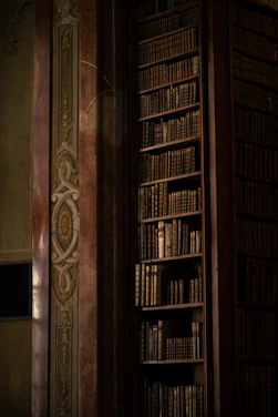Tall bookshelves filled with old books in library