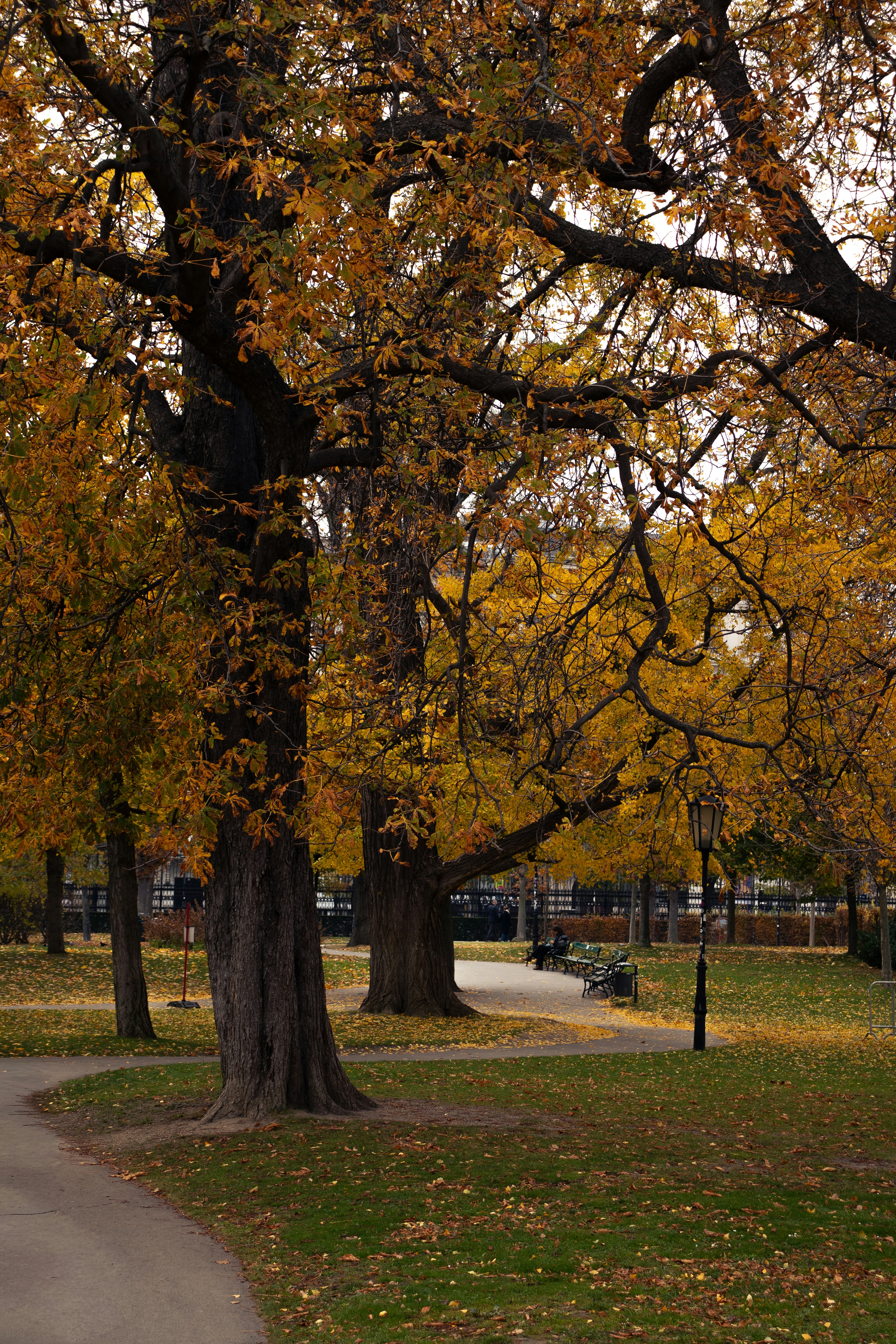 Photo by riccardofarinazzo