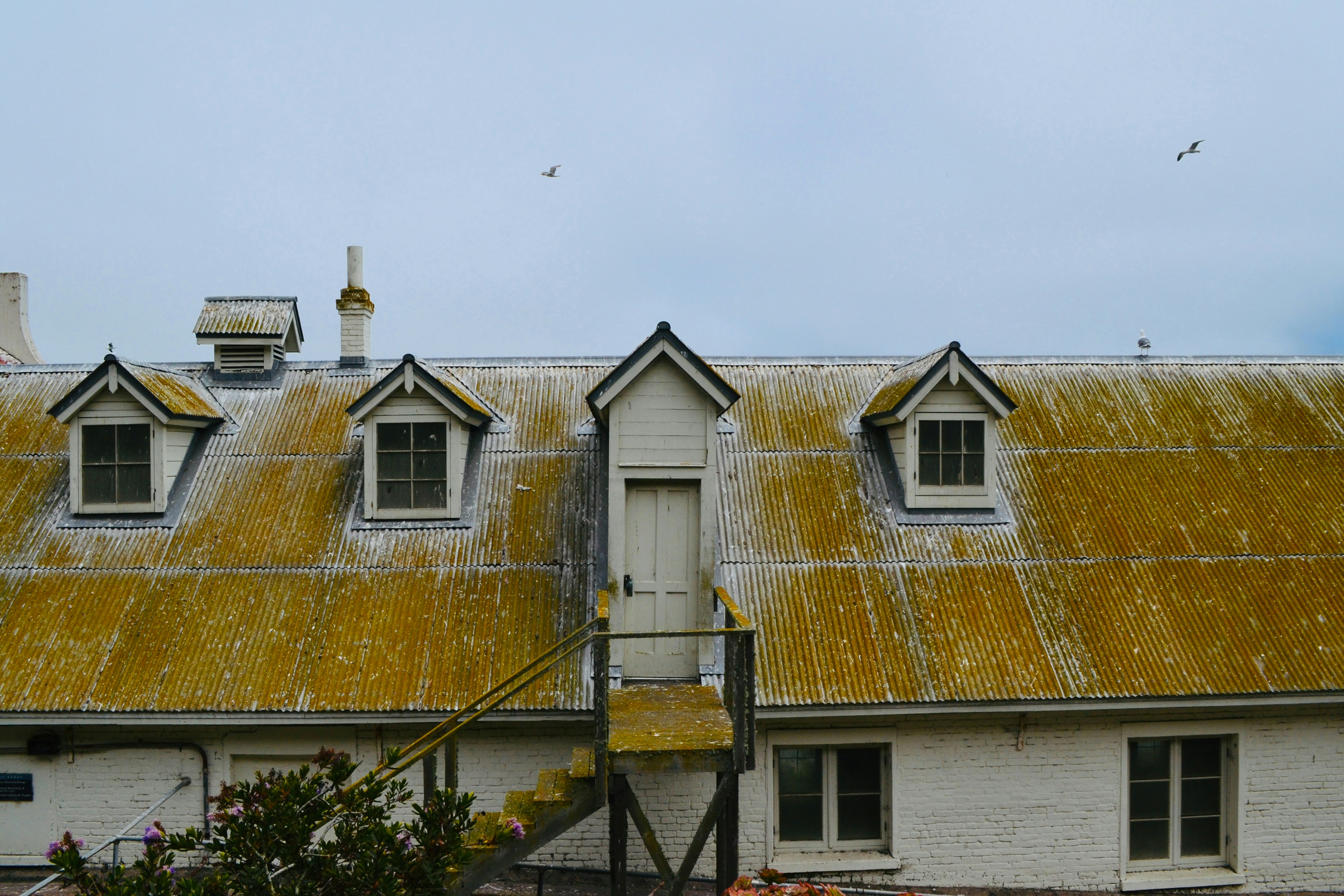 a roof with visible wind or hail damage - tall pines roofing roof replacement rochester ny