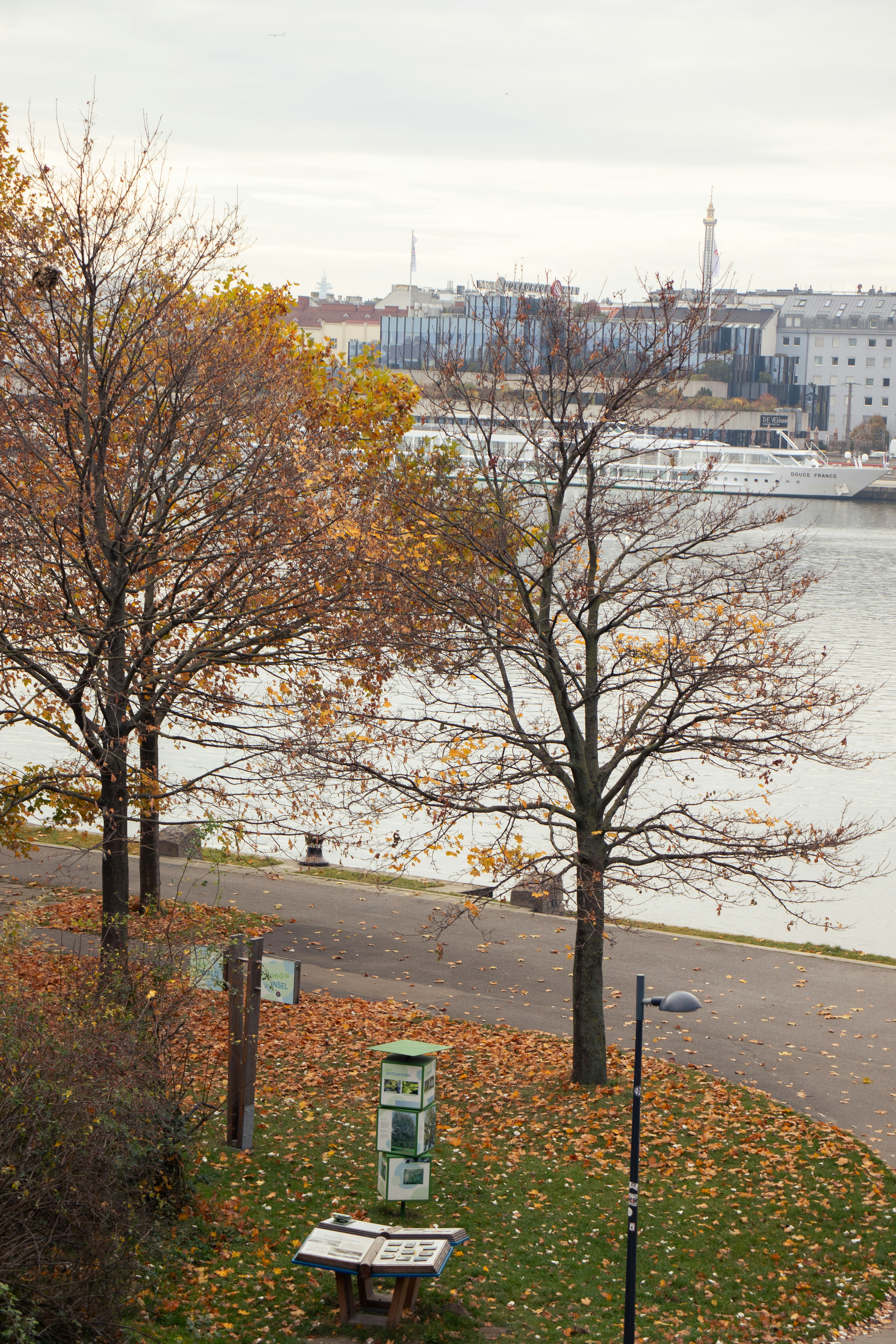 Autumn trees line a river with city buildings