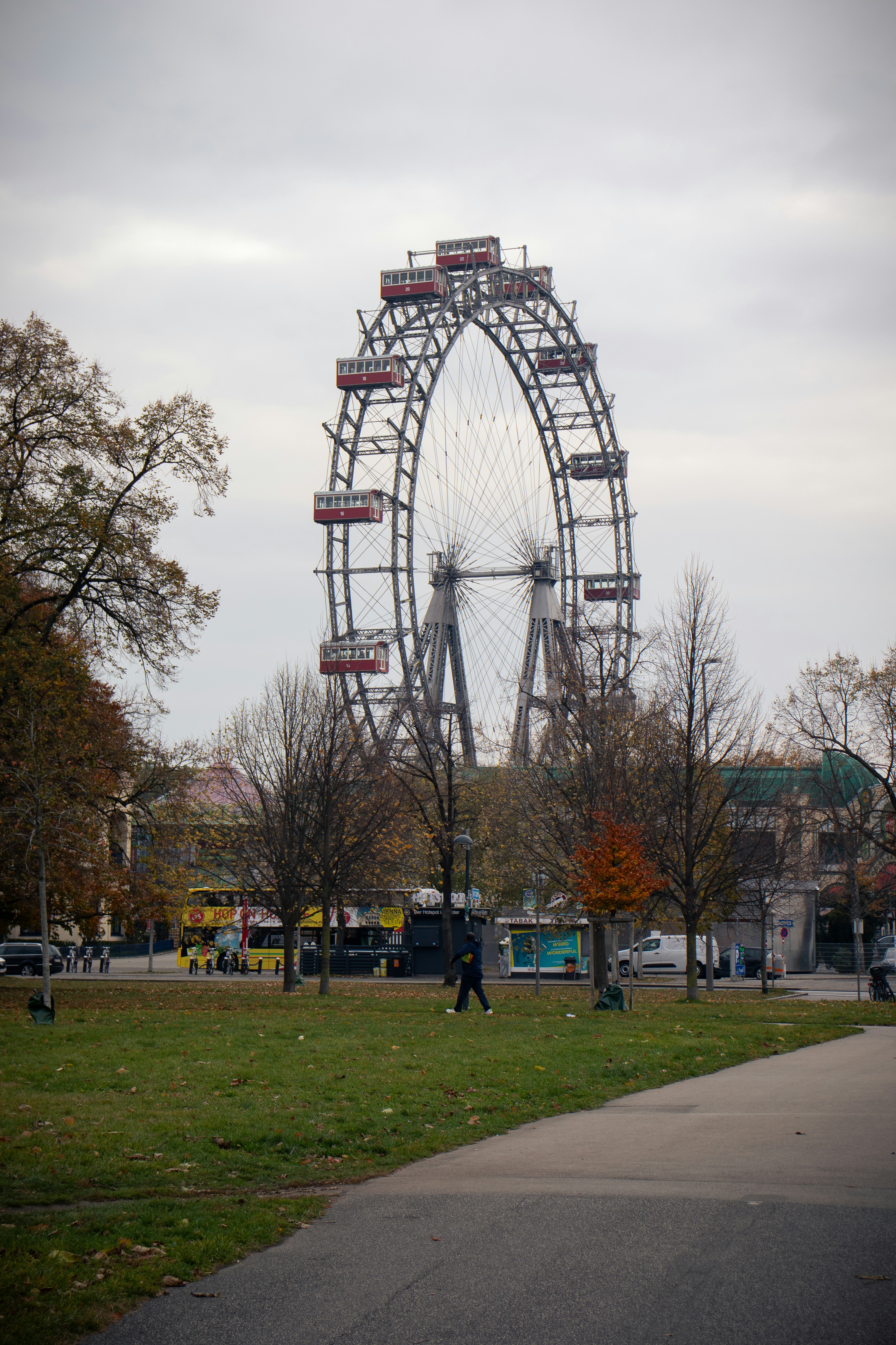 Giant ferris wheel in a park on an overcast day.