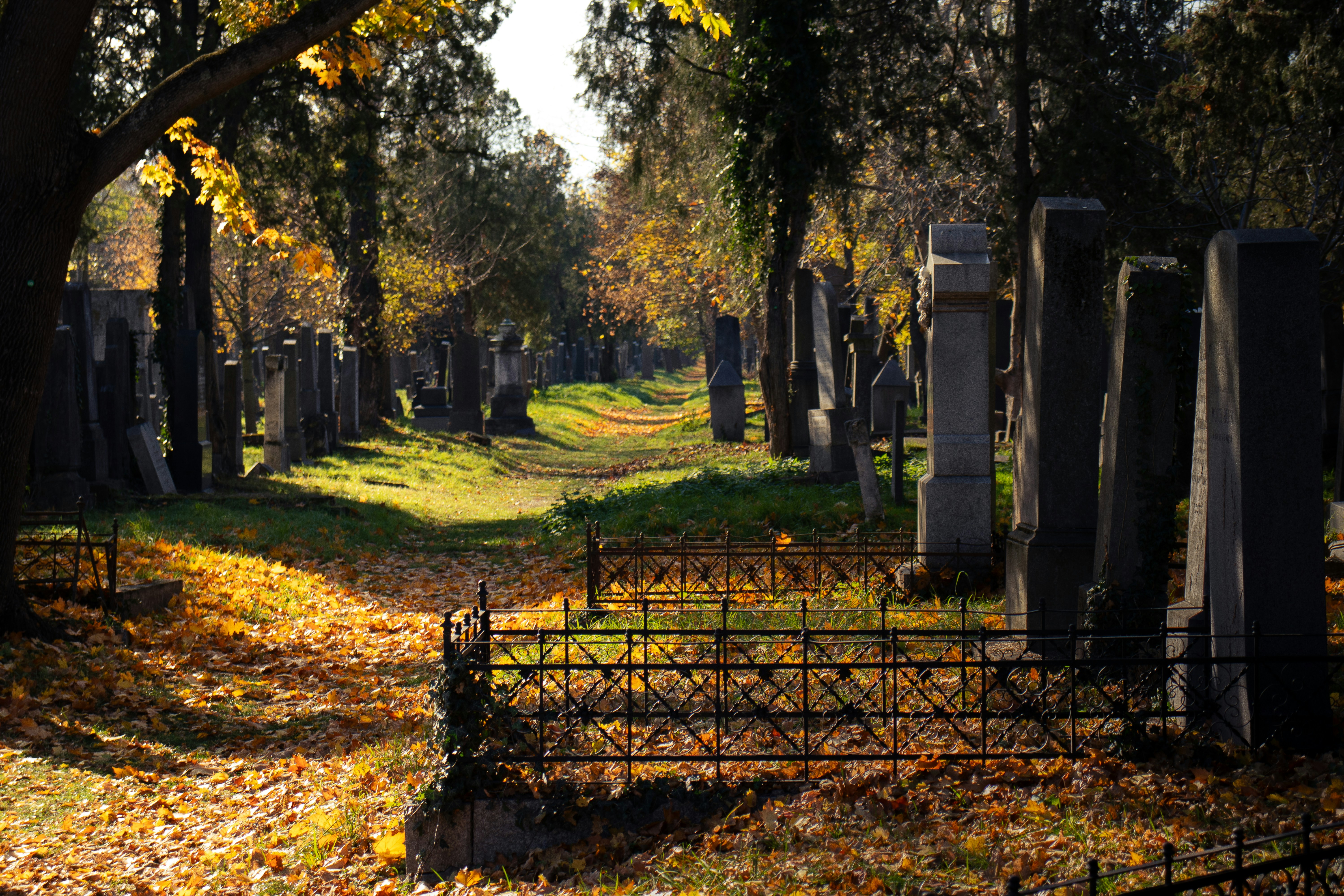 Autumn cemetery path with fallen leaves and gravestones