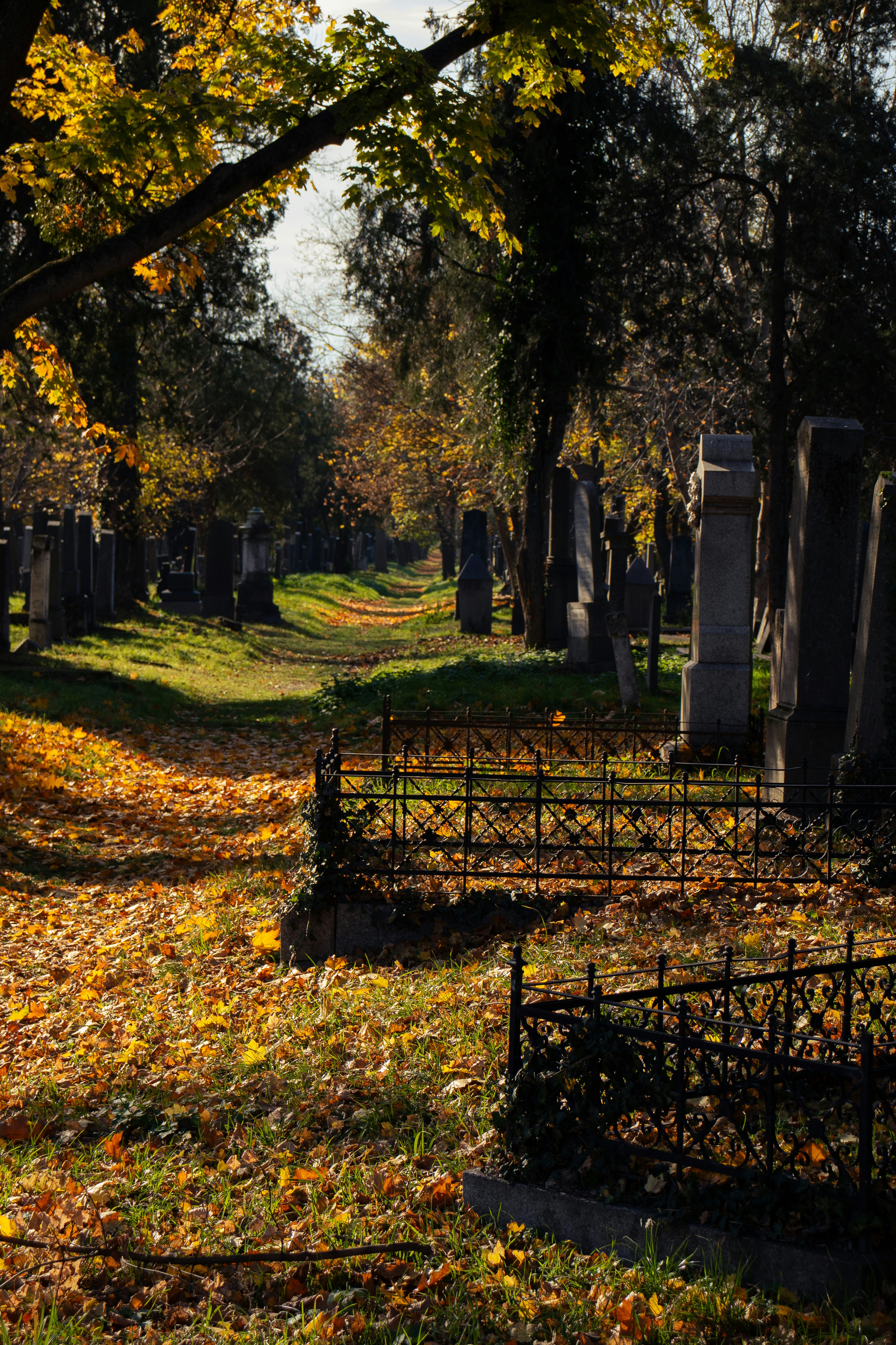 Autumn cemetery path with fallen leaves and gravestones