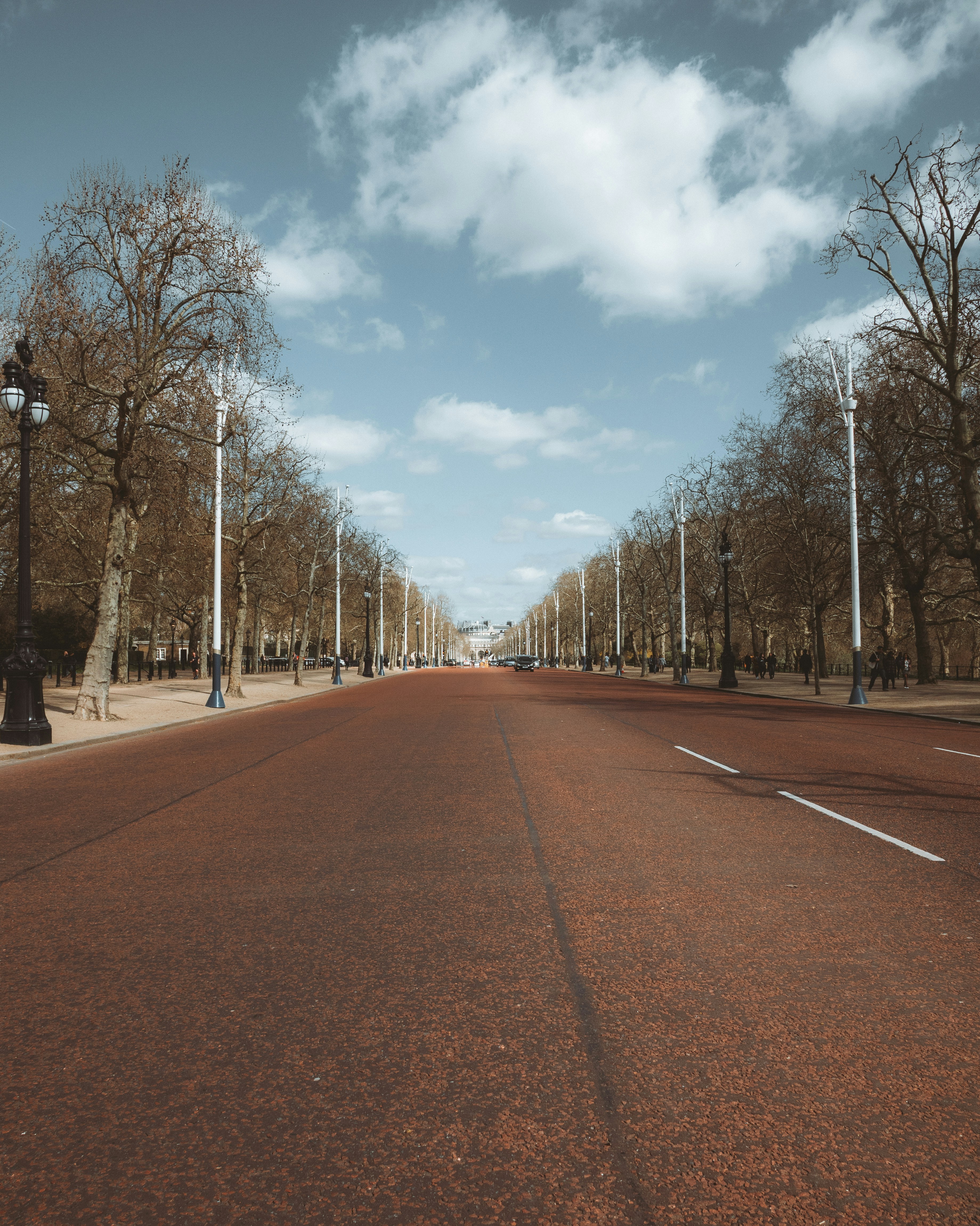 Un'ampia strada fiancheggiata da alberi e lampioni.