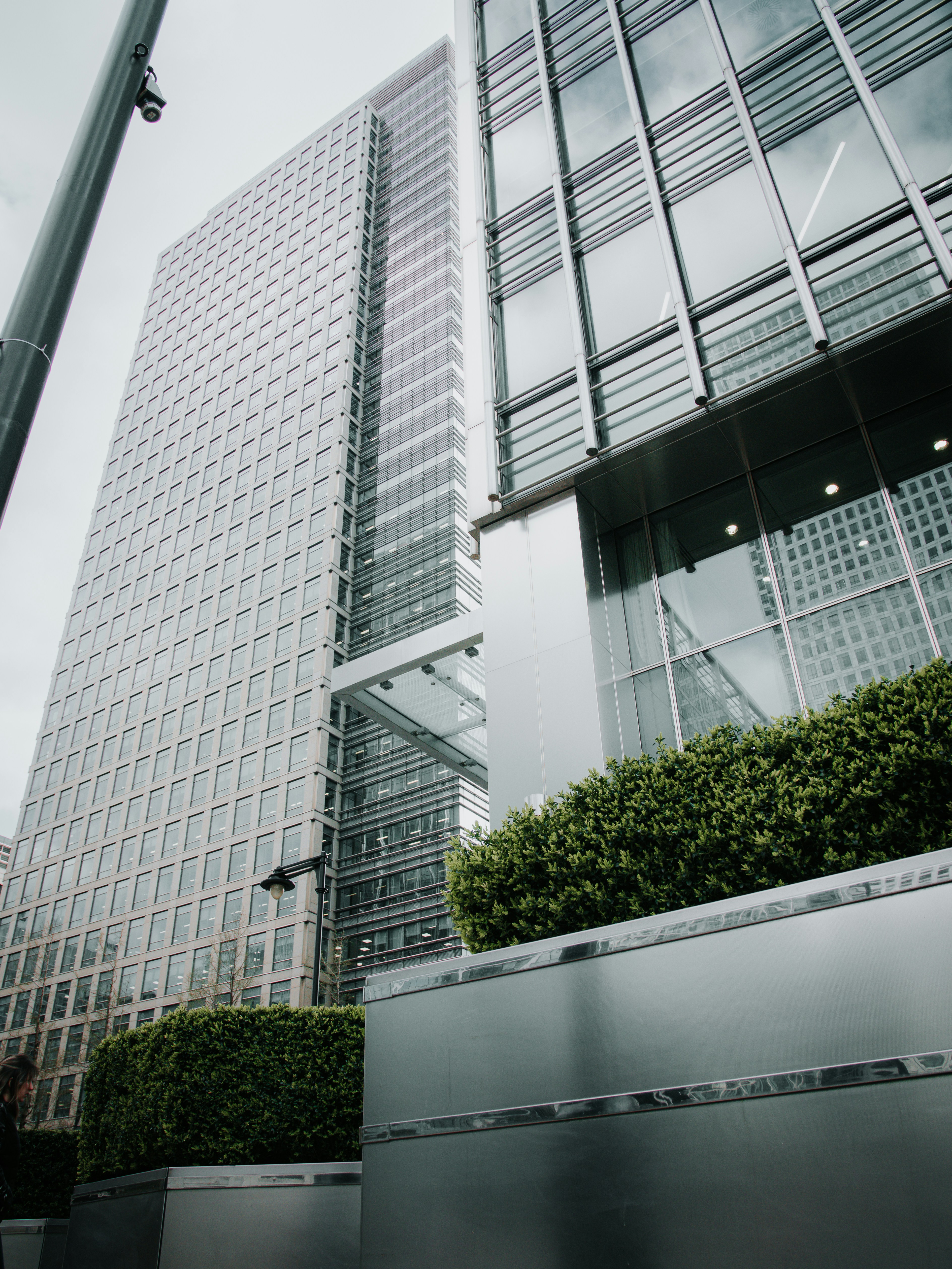 Moderni edifici in vetro con cespugli verdi