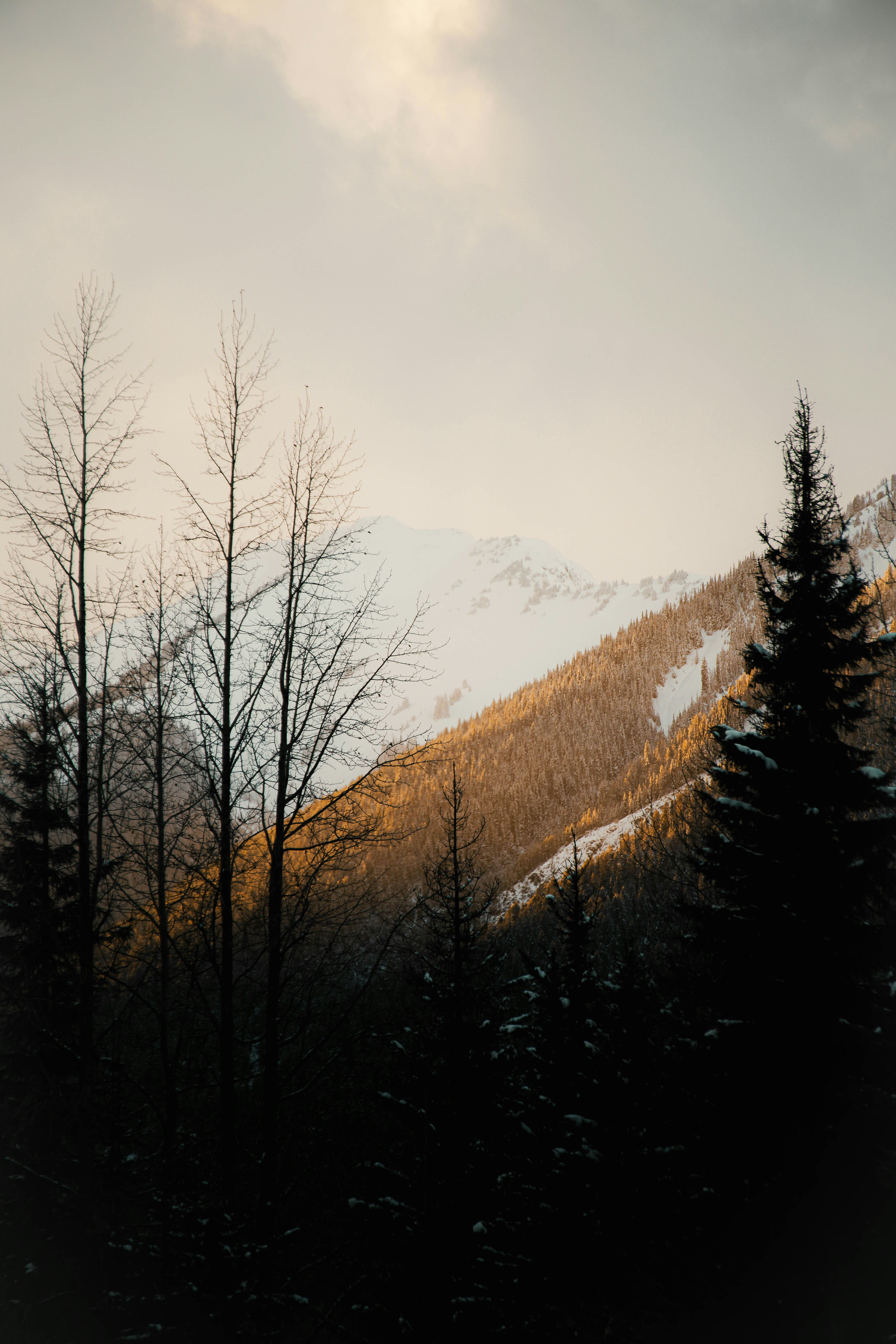 Photo by carbonmonoxide