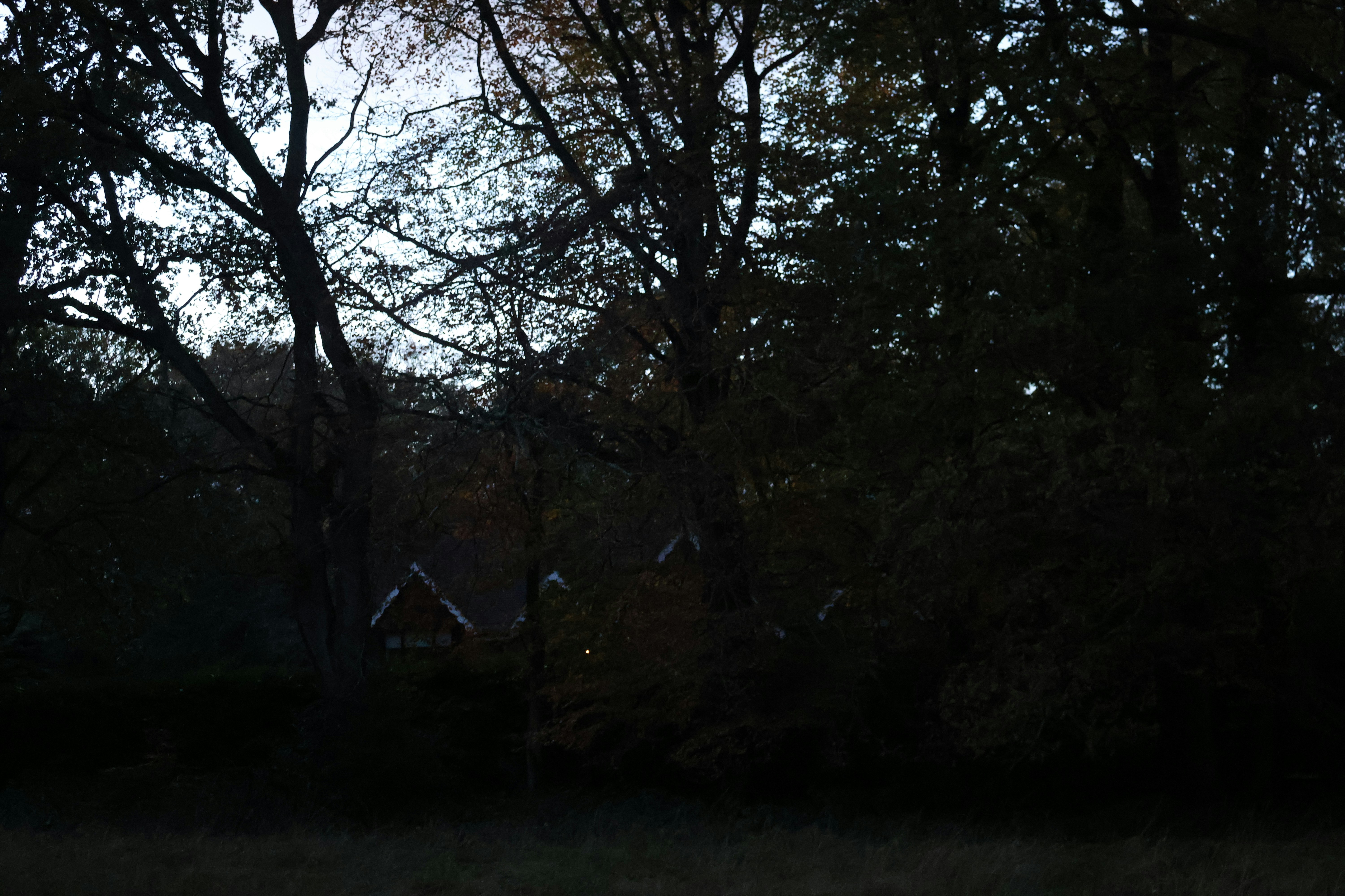 Photo by tanyabarrow