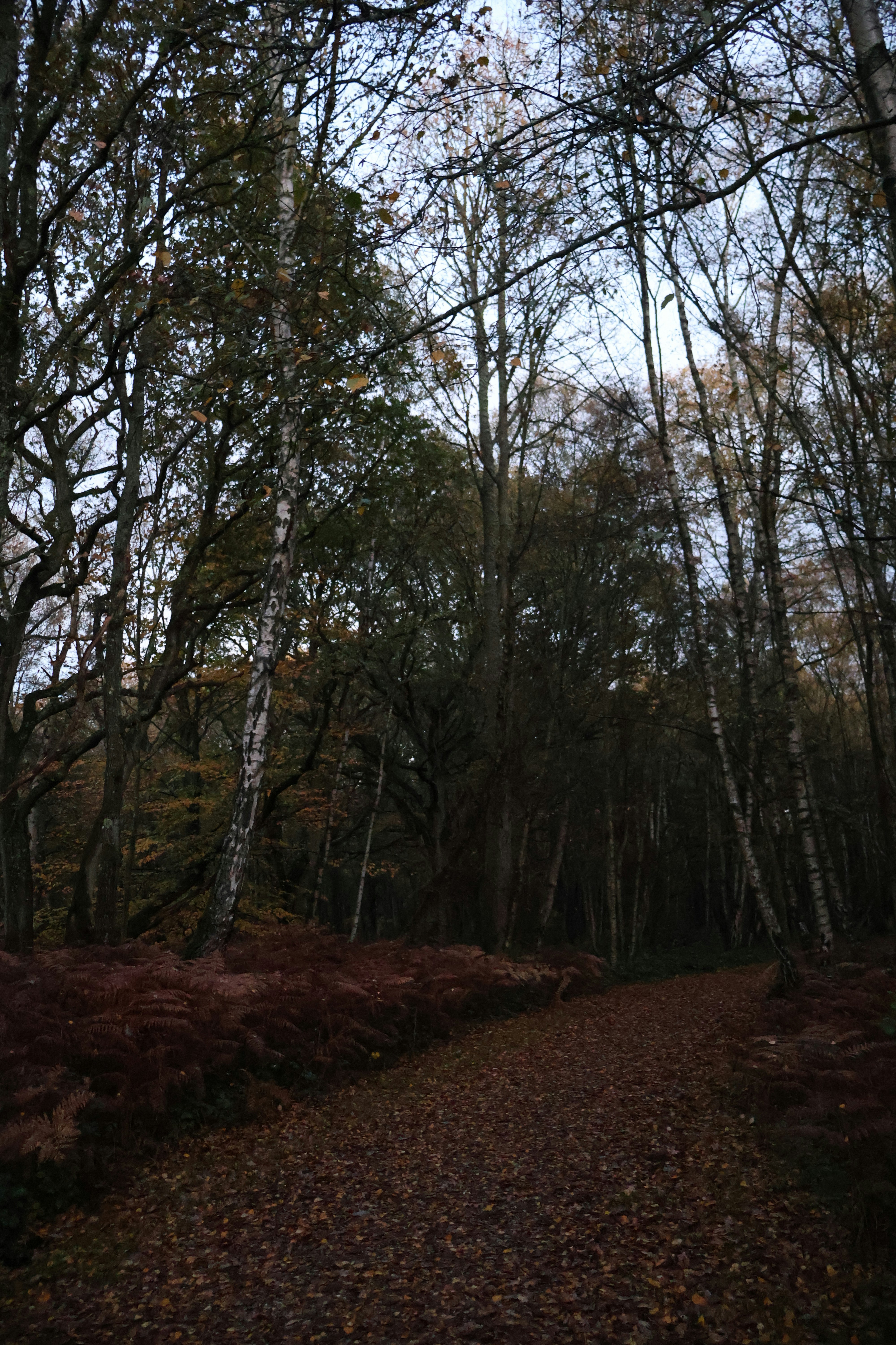 Photo by tanyabarrow