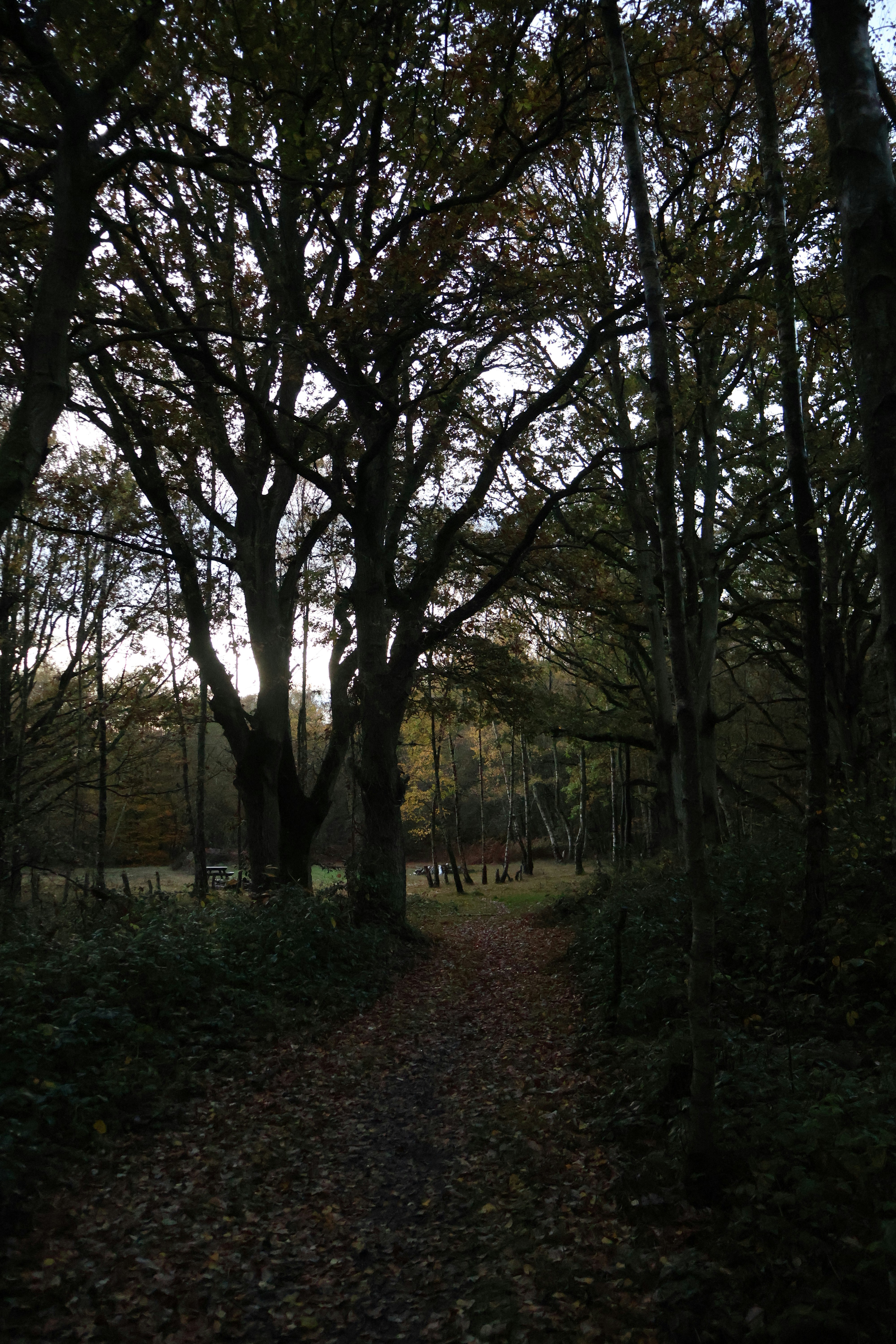 Photo by tanyabarrow