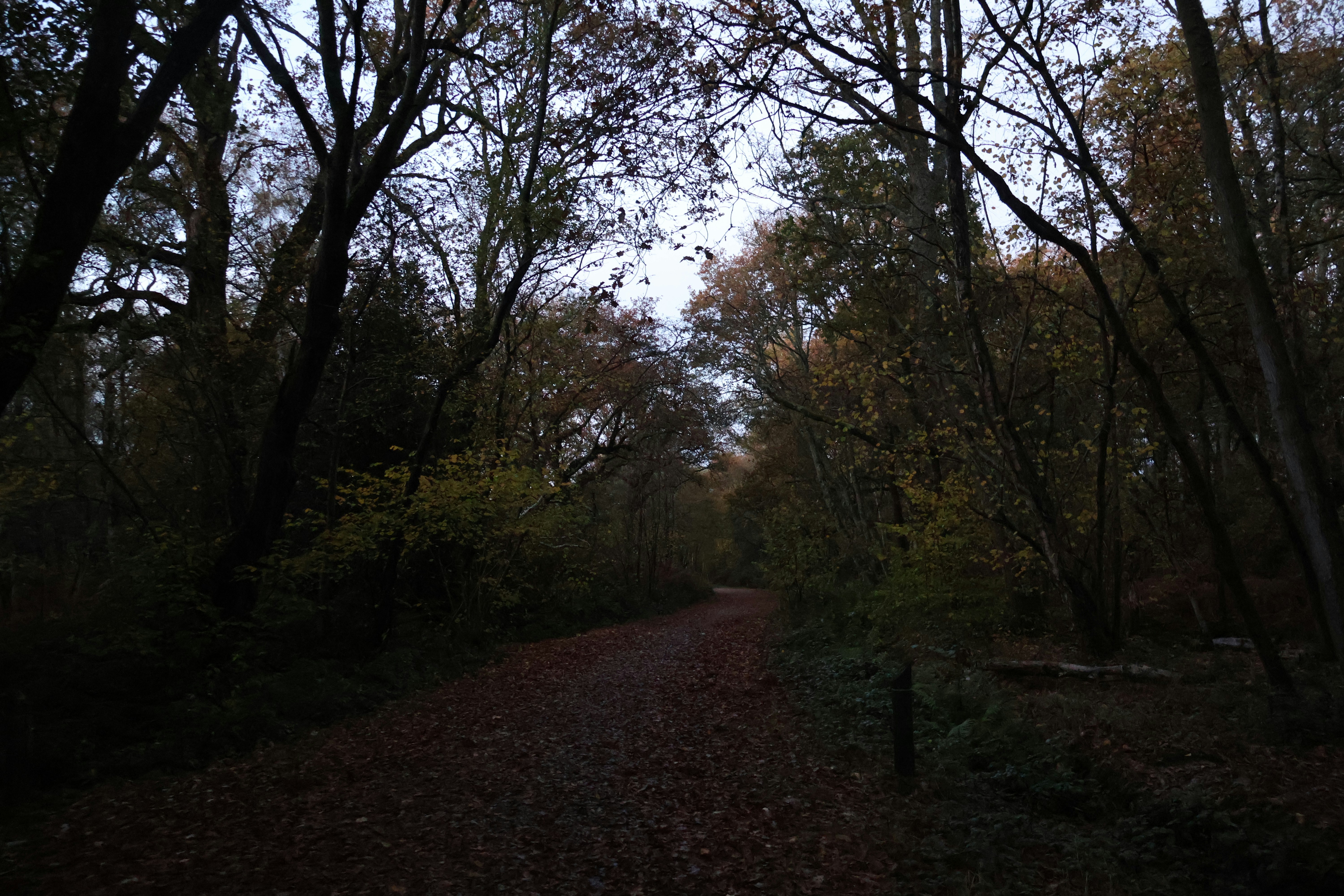 Photo by tanyabarrow