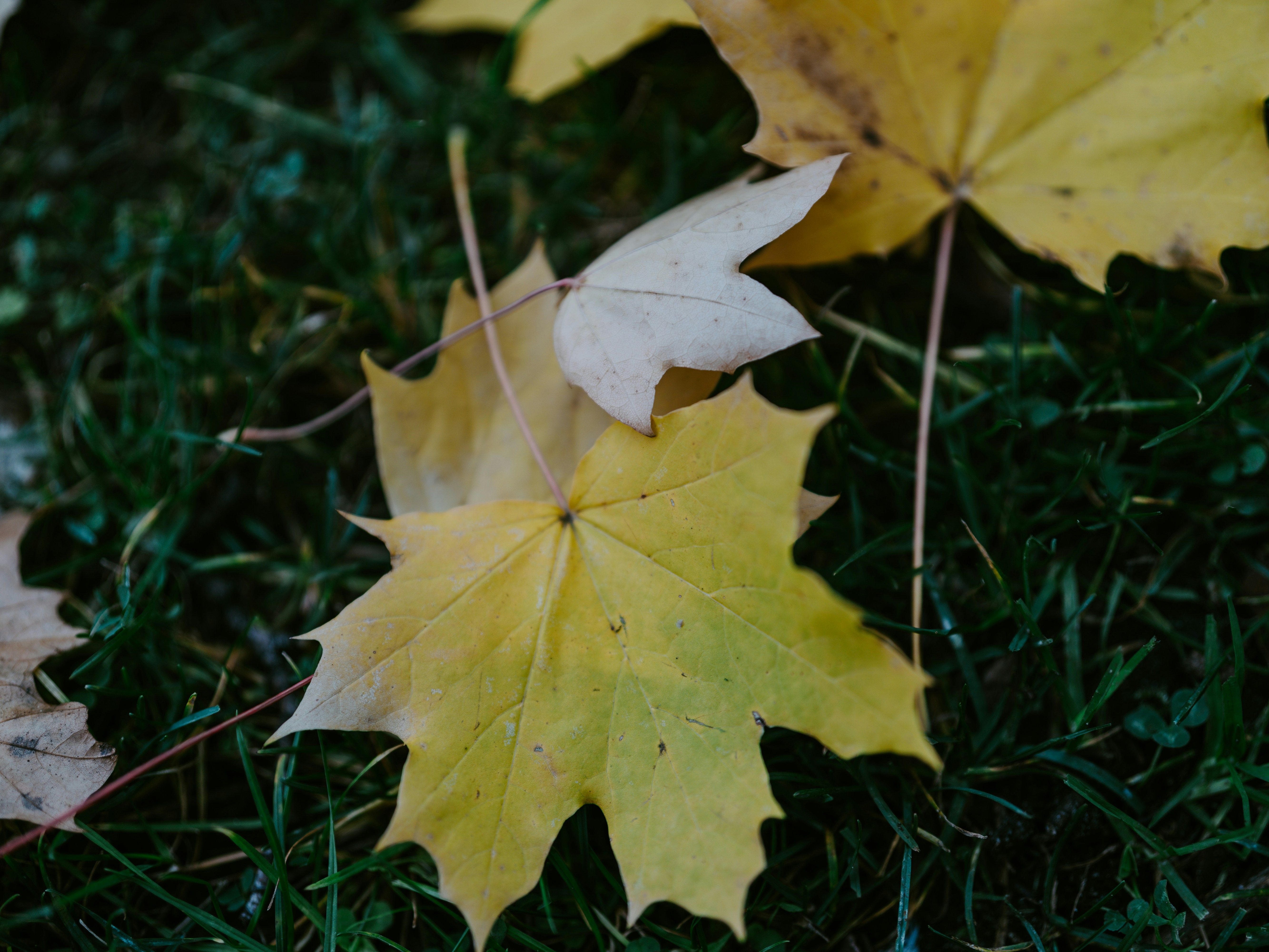 Photo by bangscreative