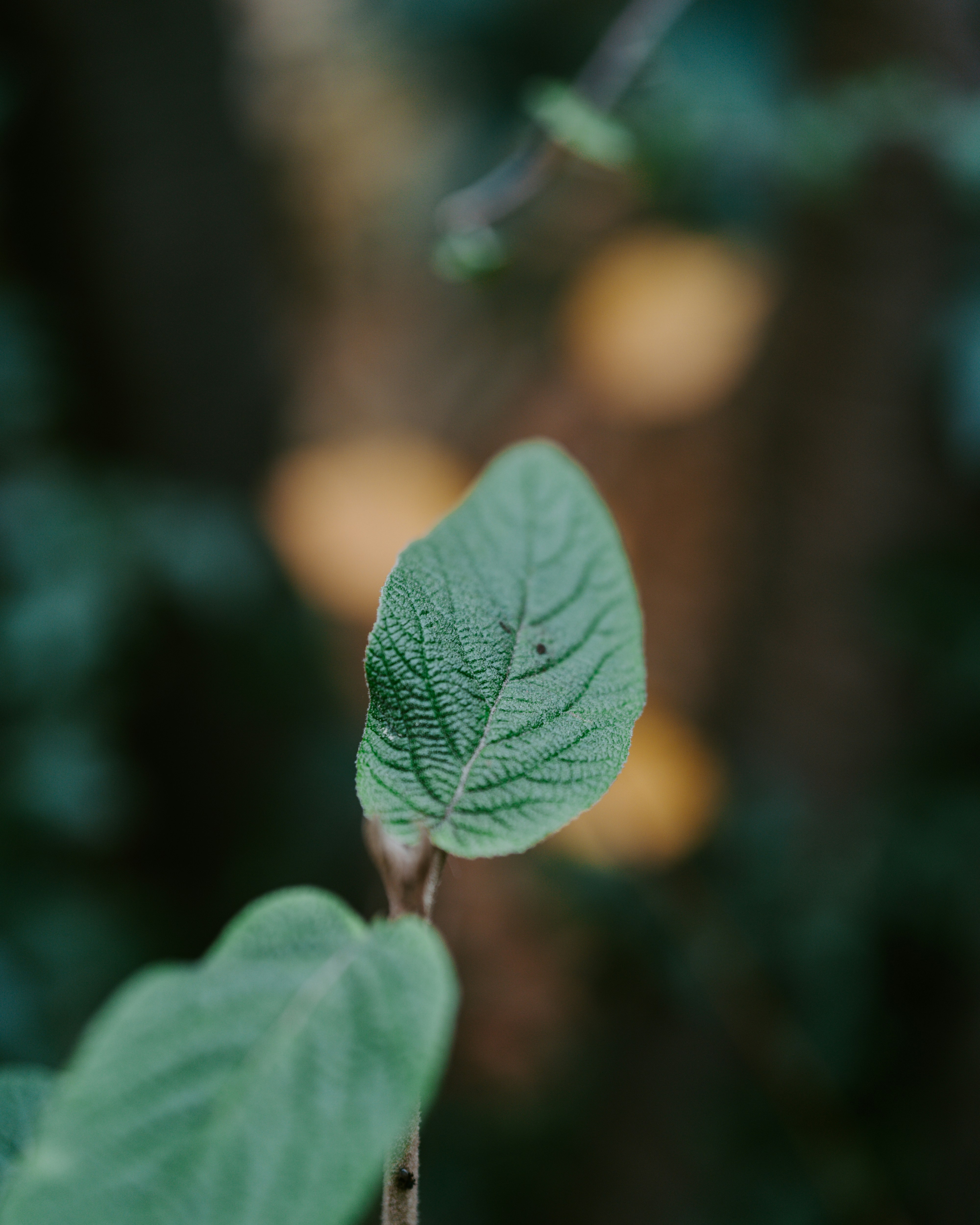 Photo by bangscreative