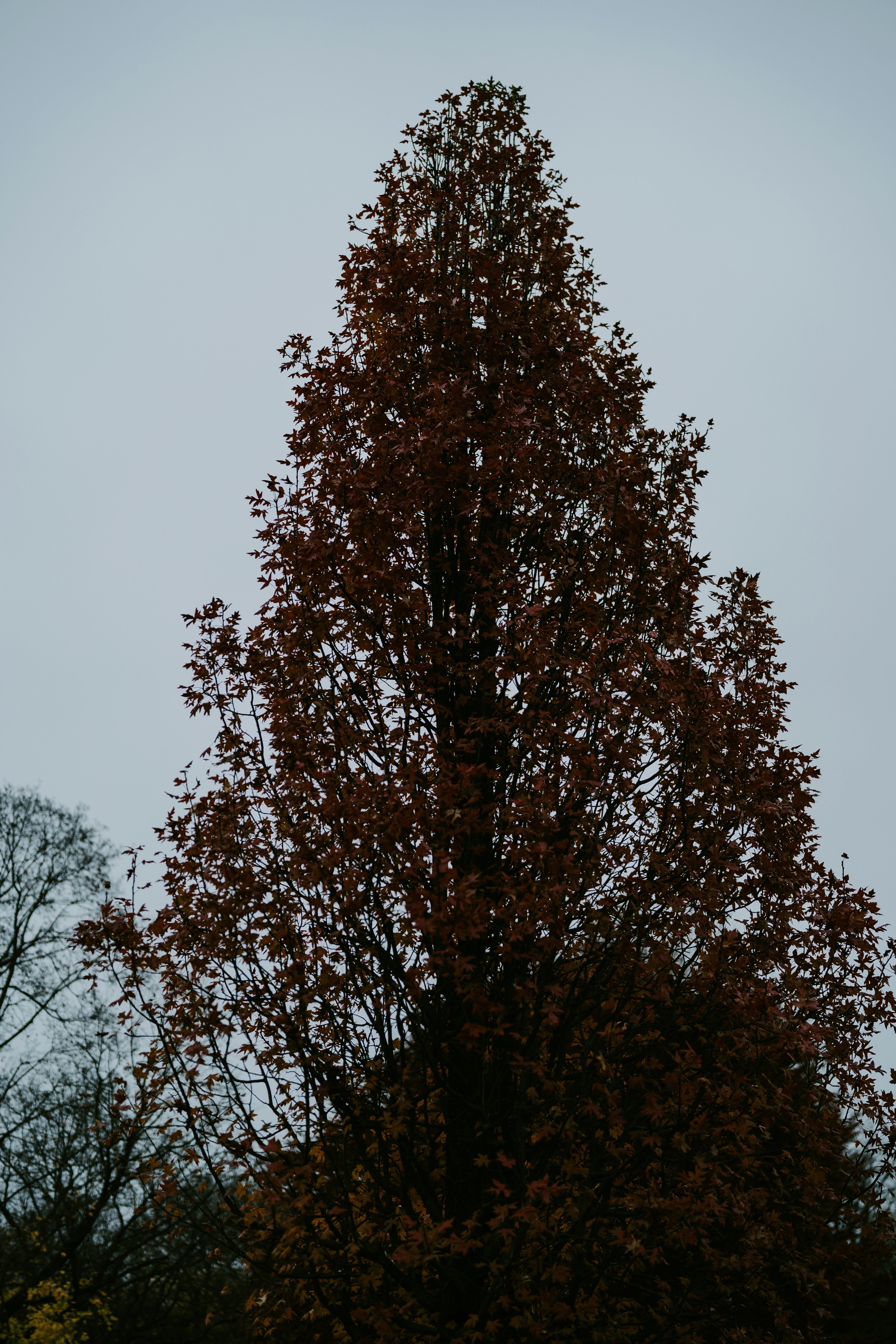 Photo by bangscreative