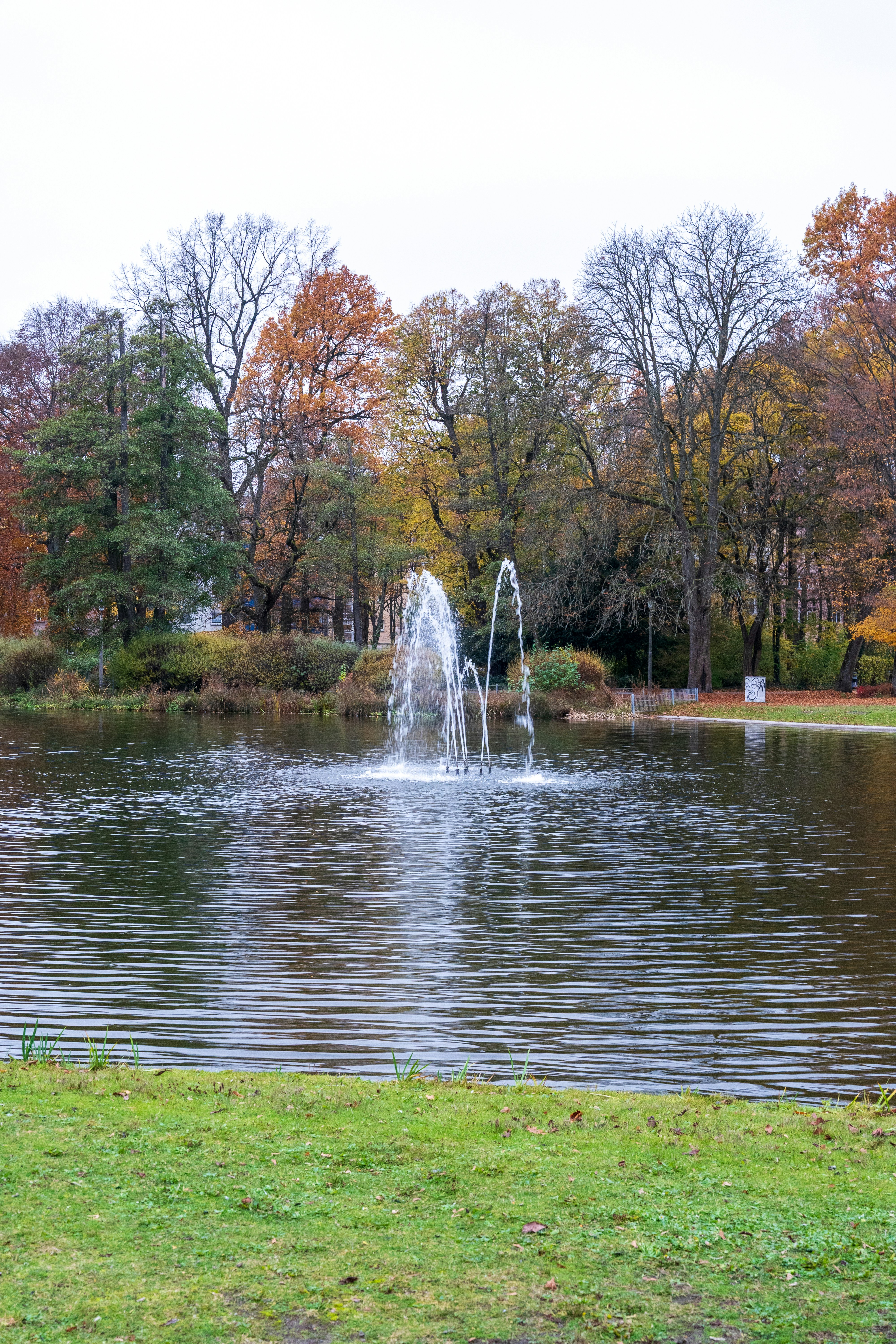 Springbrunnen, der Wasser in einen See mit Herbstbäumen spritzt.