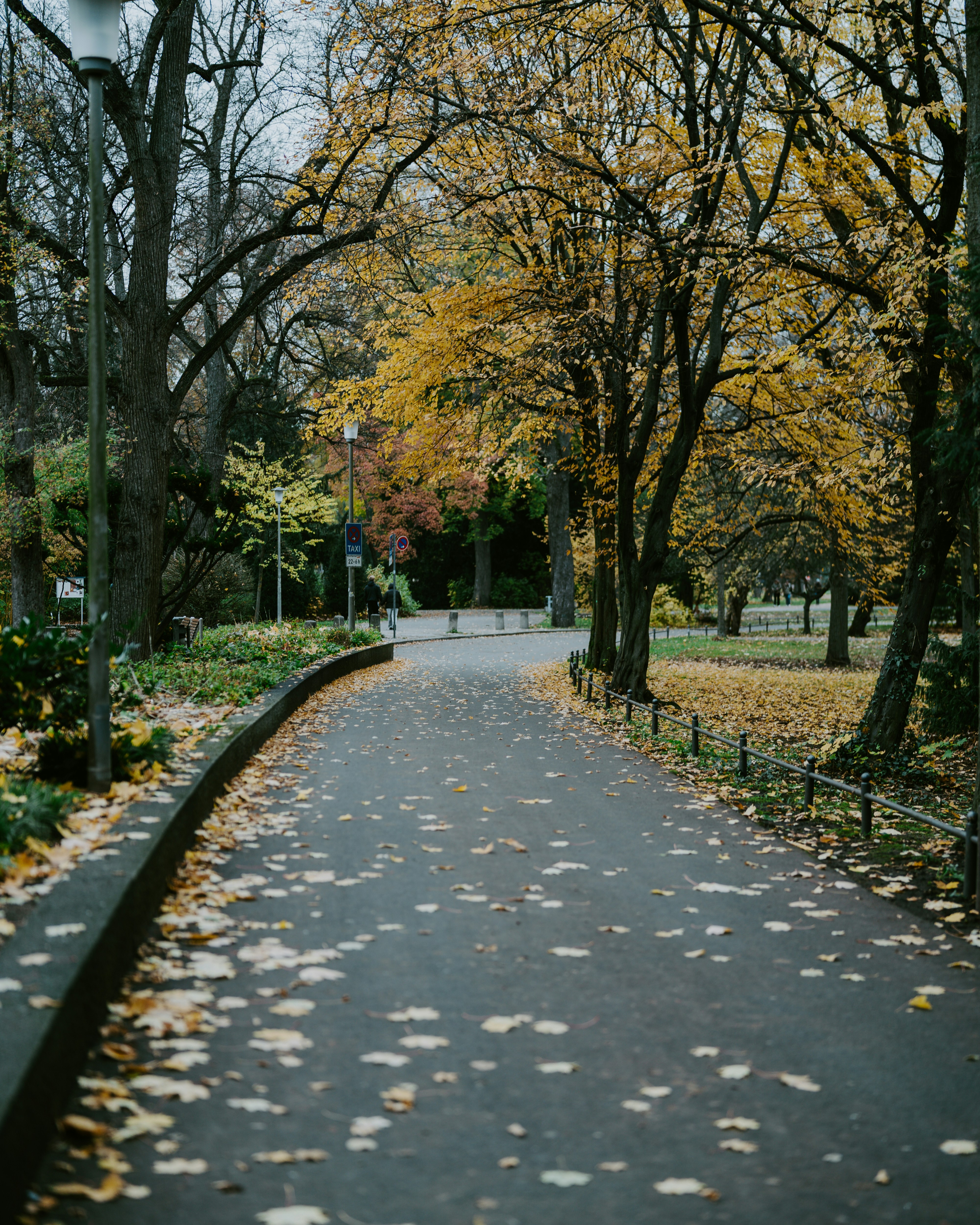Herbstlicher Parkweg mit gefallenen gelben Blättern