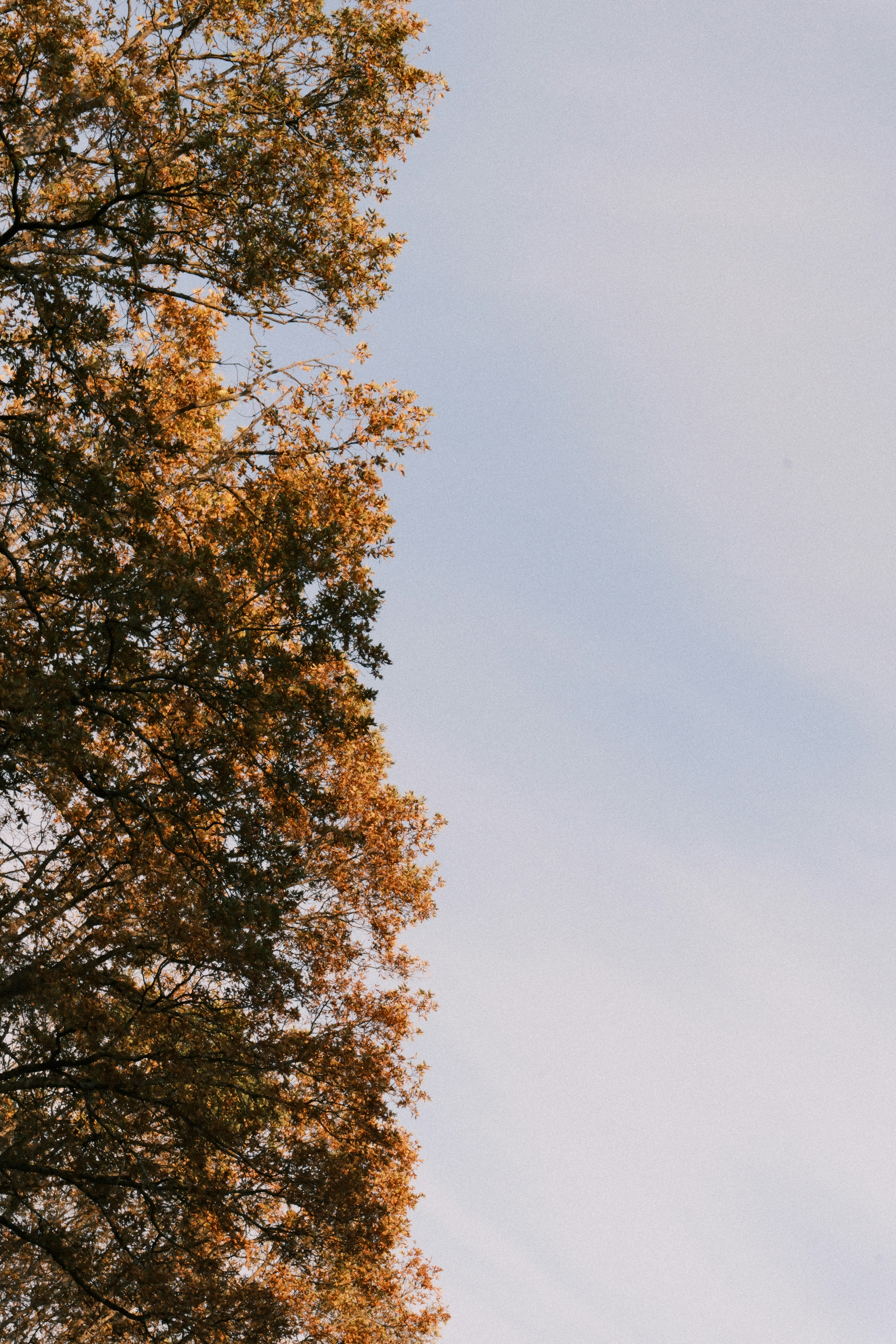 Photo by nikan_tanya