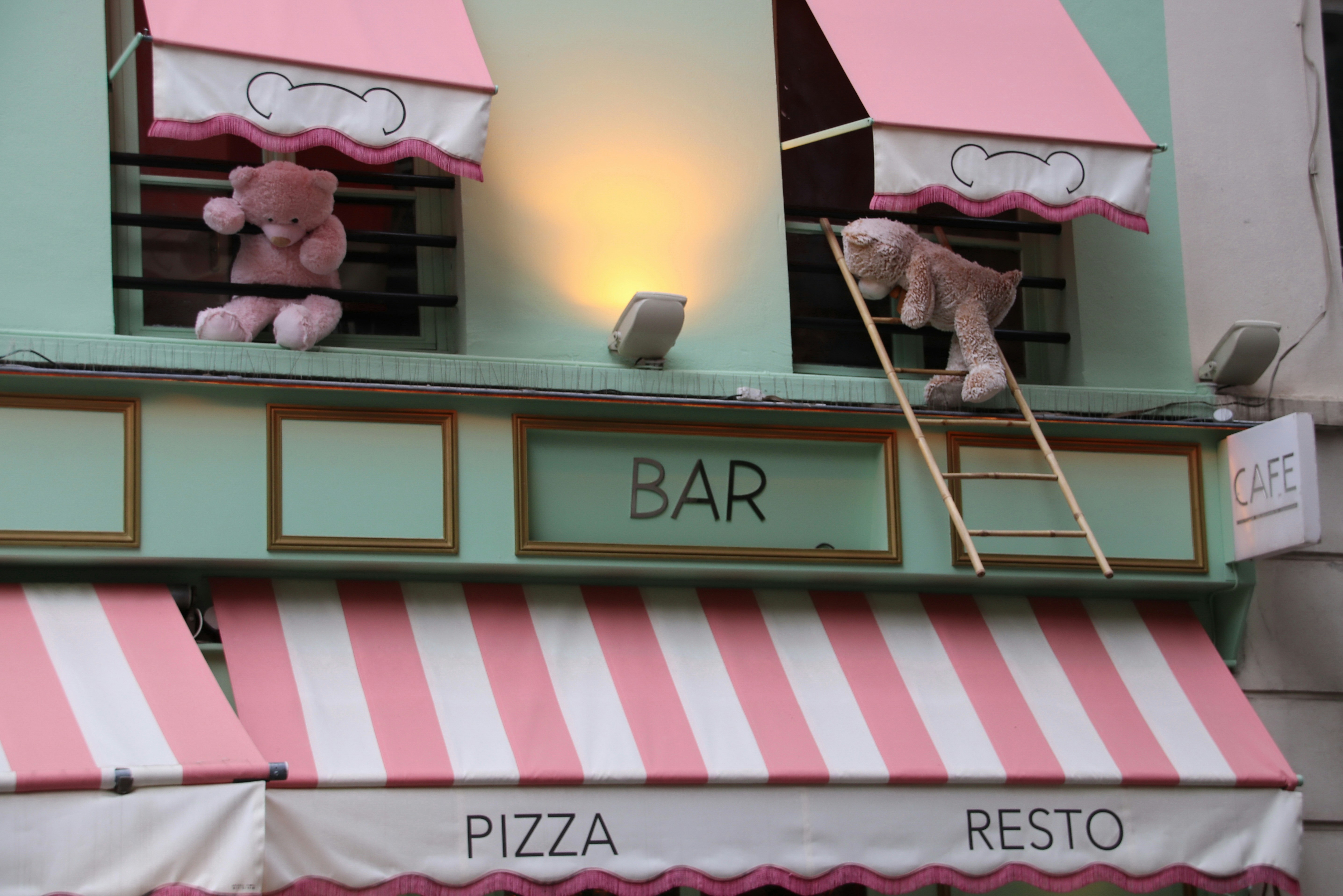 Two teddy bears on a building facade.