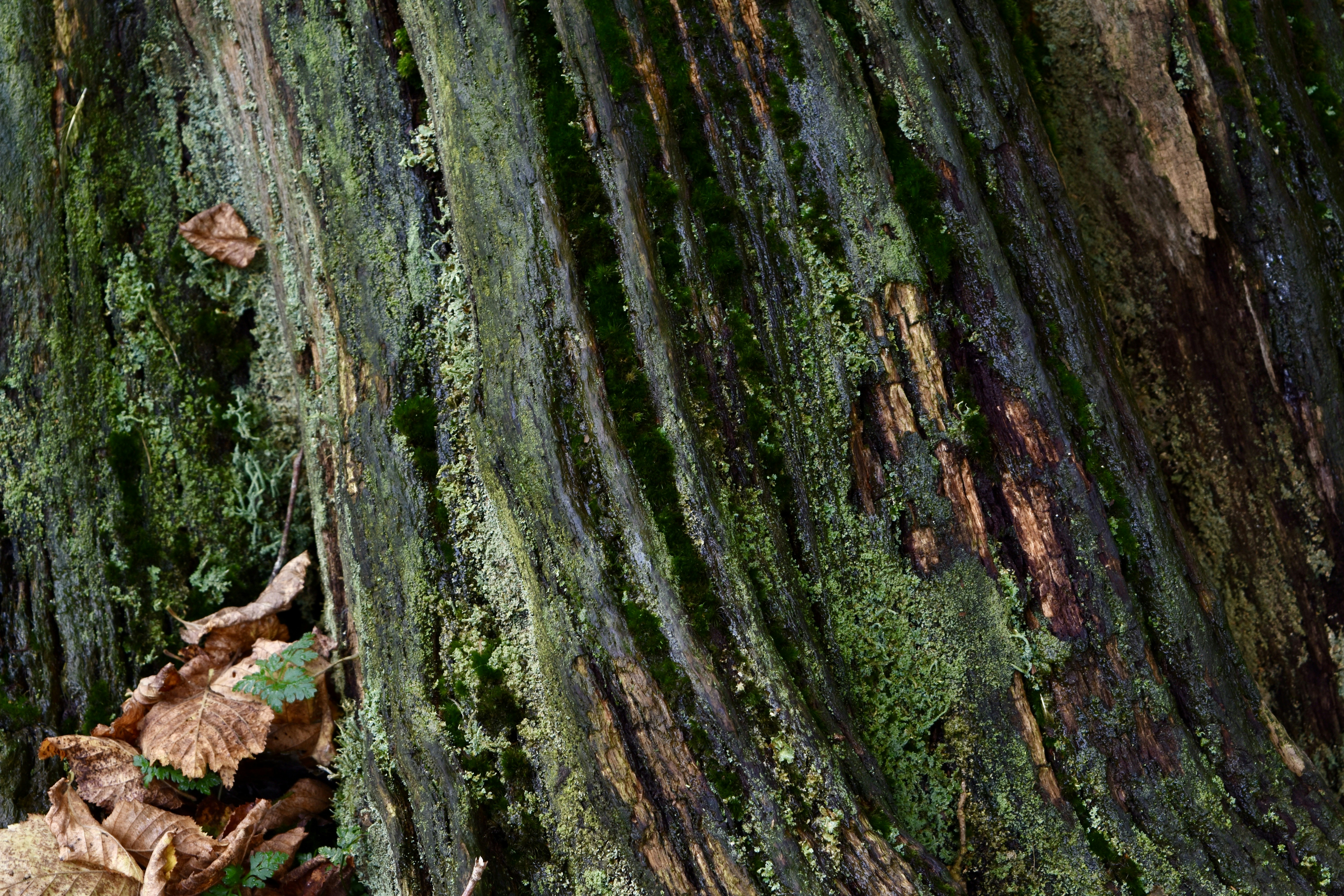 Photo by max_brindley