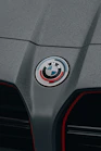 Close-up of a wet BMW car emblem and grille