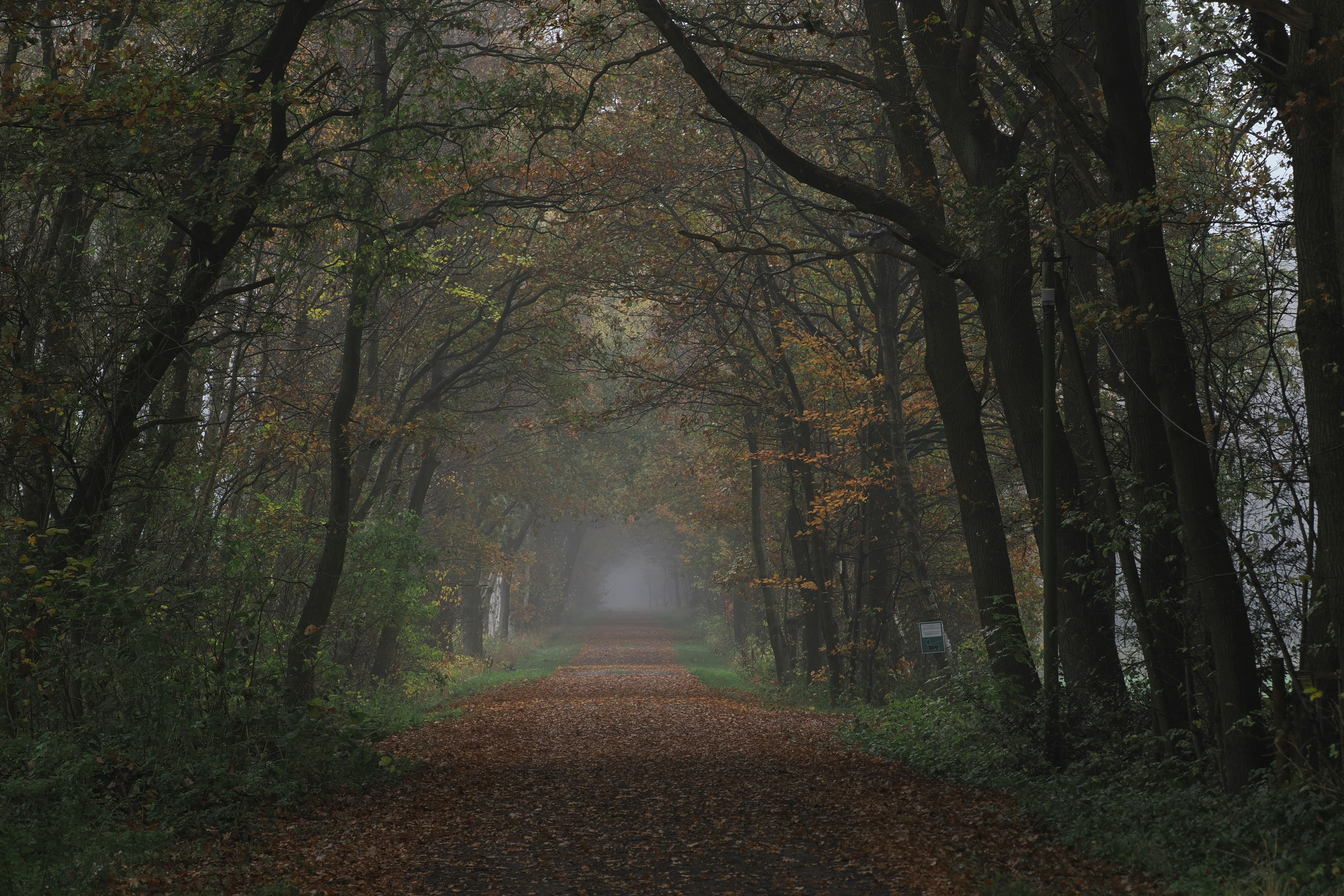 Photo by fotografie_thomas_nolte