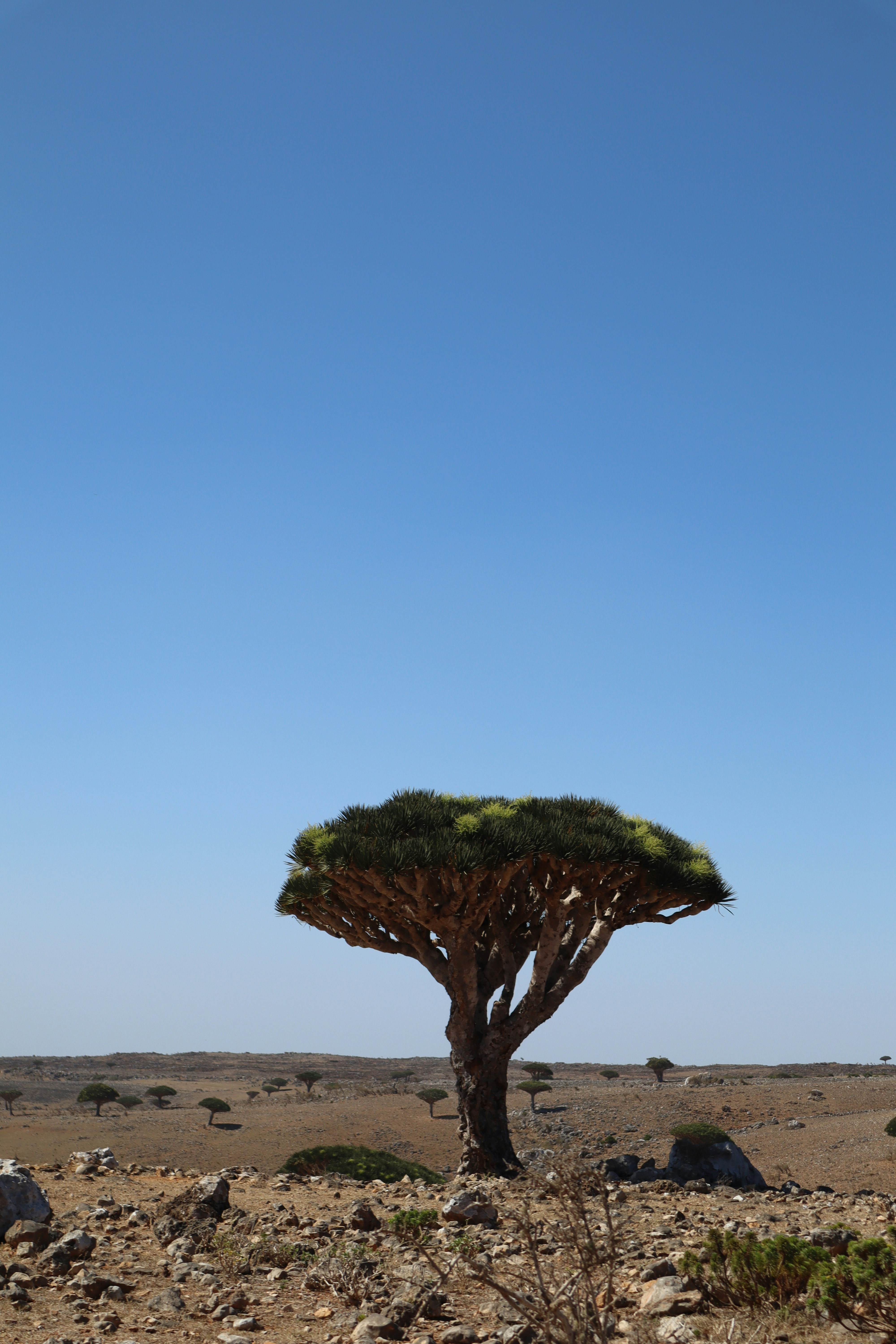 Photo by noemitalinaaa