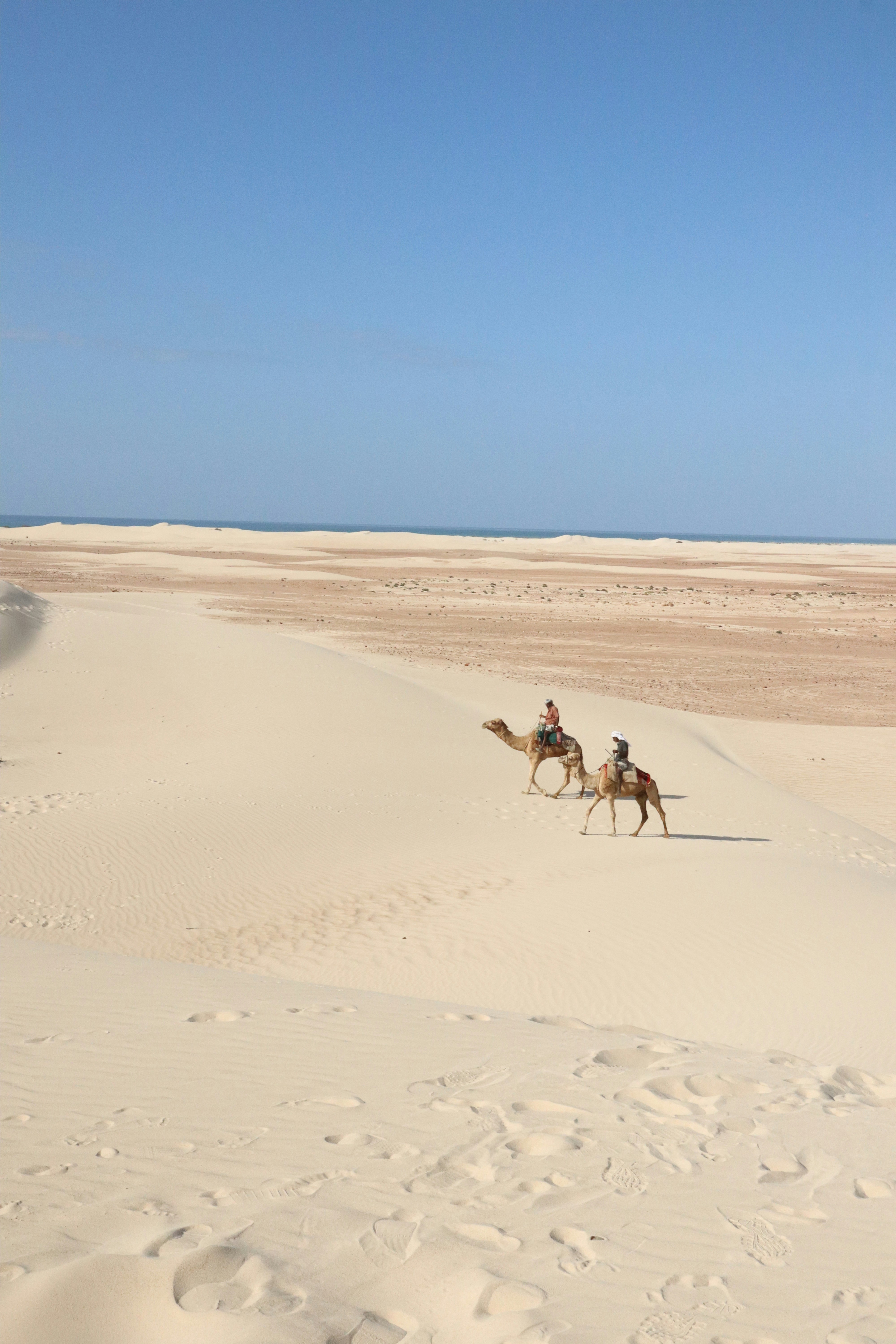 Photo by noemitalinaaa