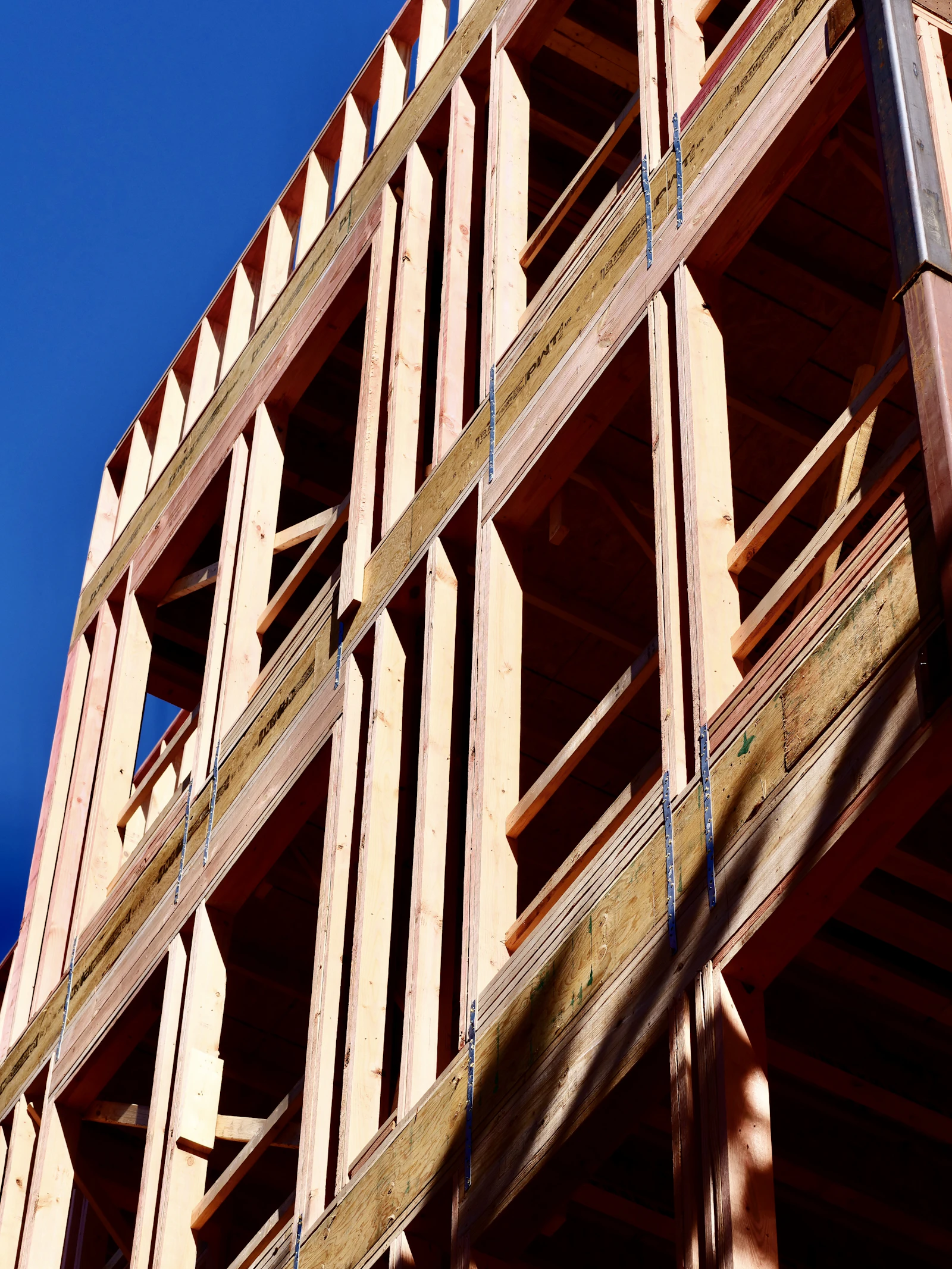 Engineered timber framing under construction. Whether the members are glulam beams or CLT panels, the standard behind them sets manufacturing tolerances most site-built solid timber never has to meet.