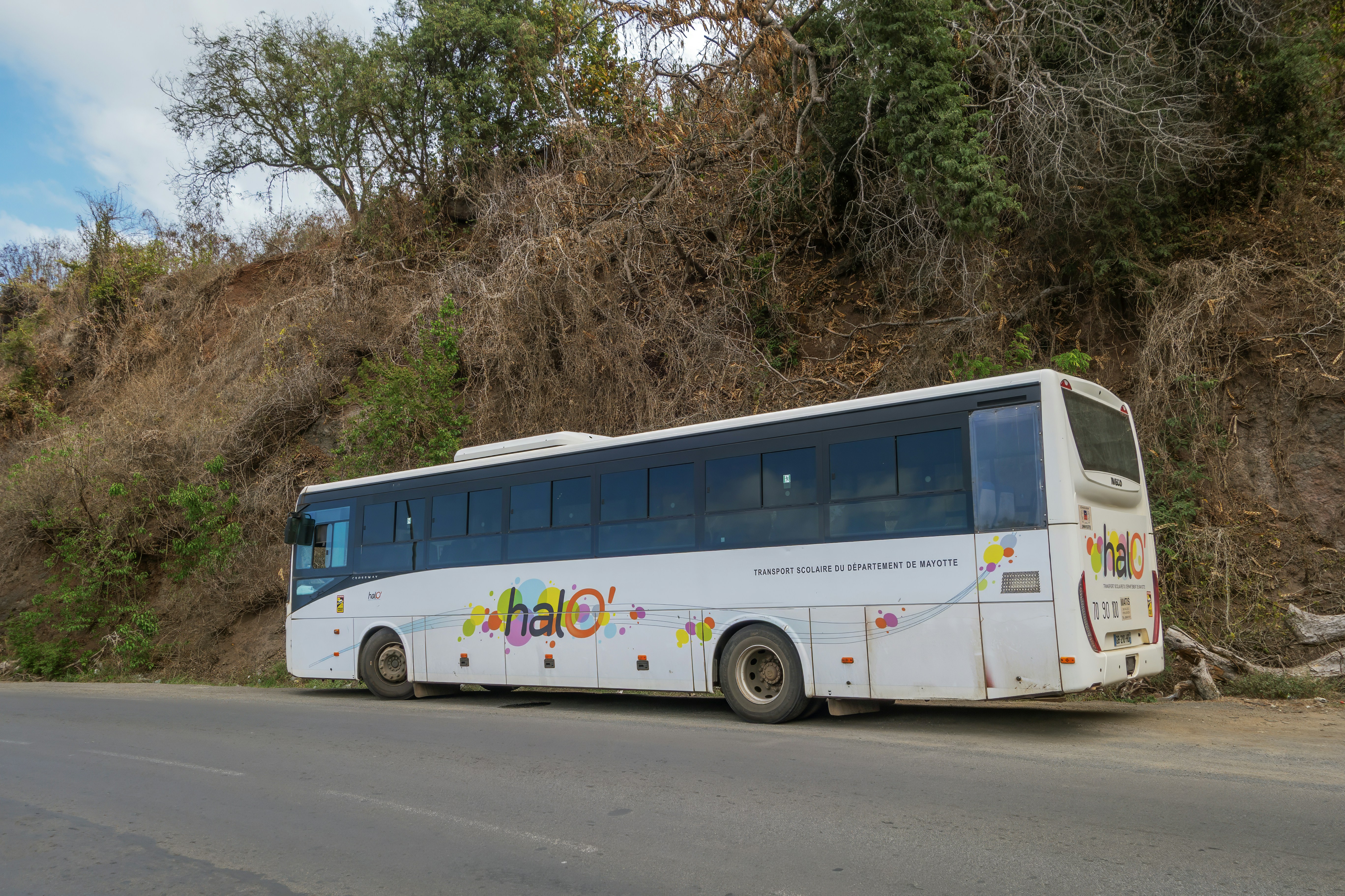 A white bus parked on the side of a road.