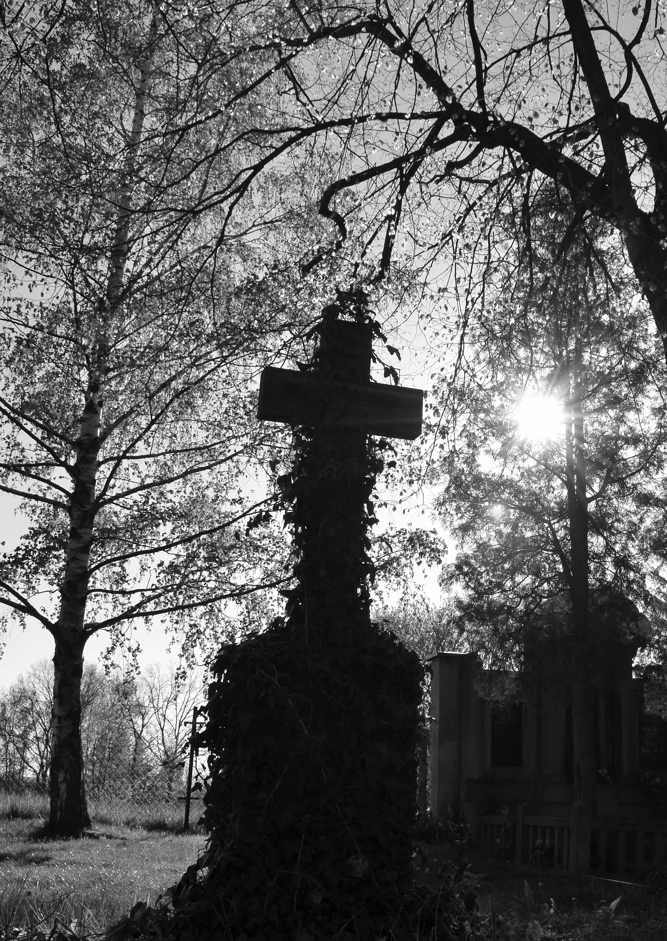 Photo by nikodemus777