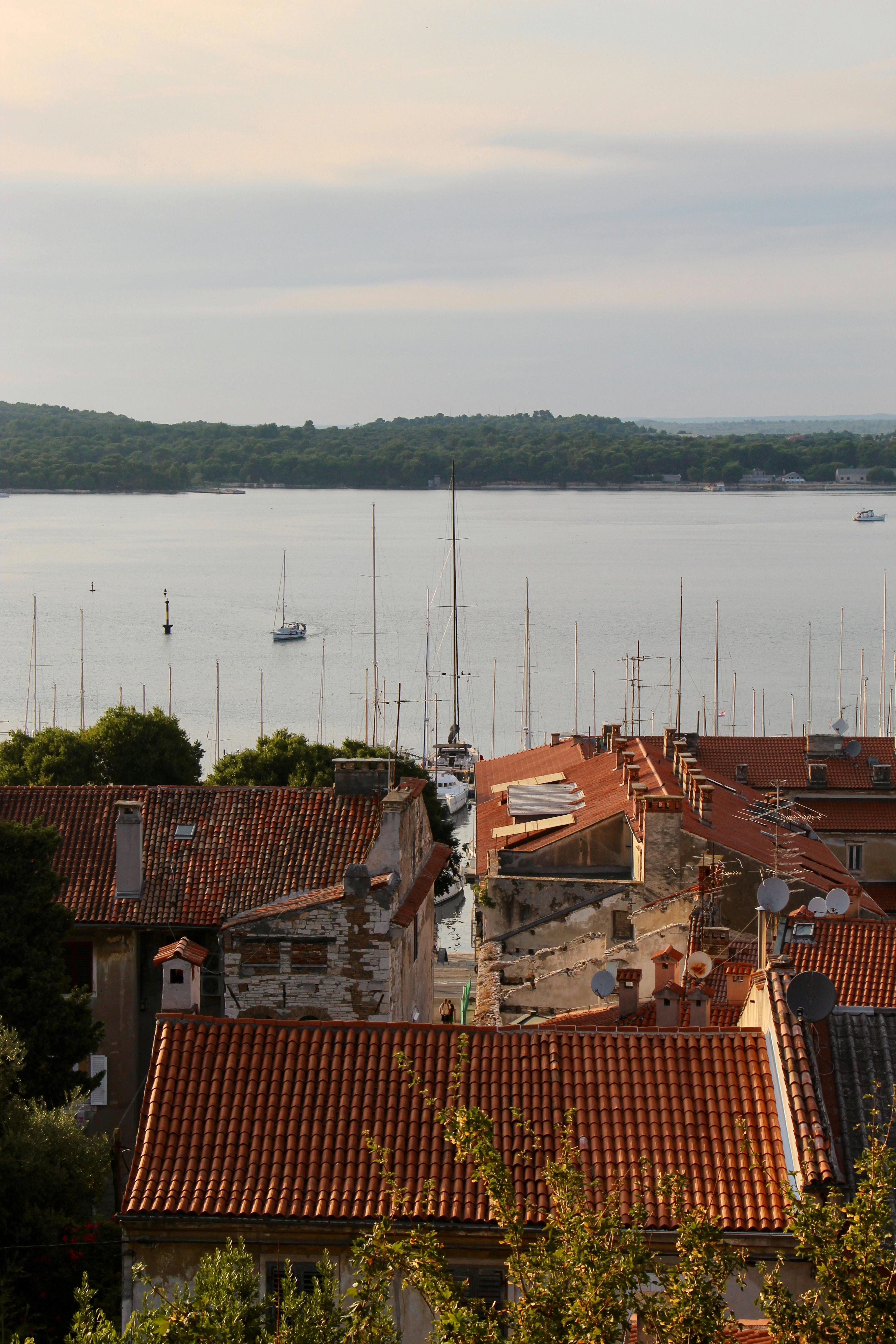 Rooftops overlooking a harbor with sailboats