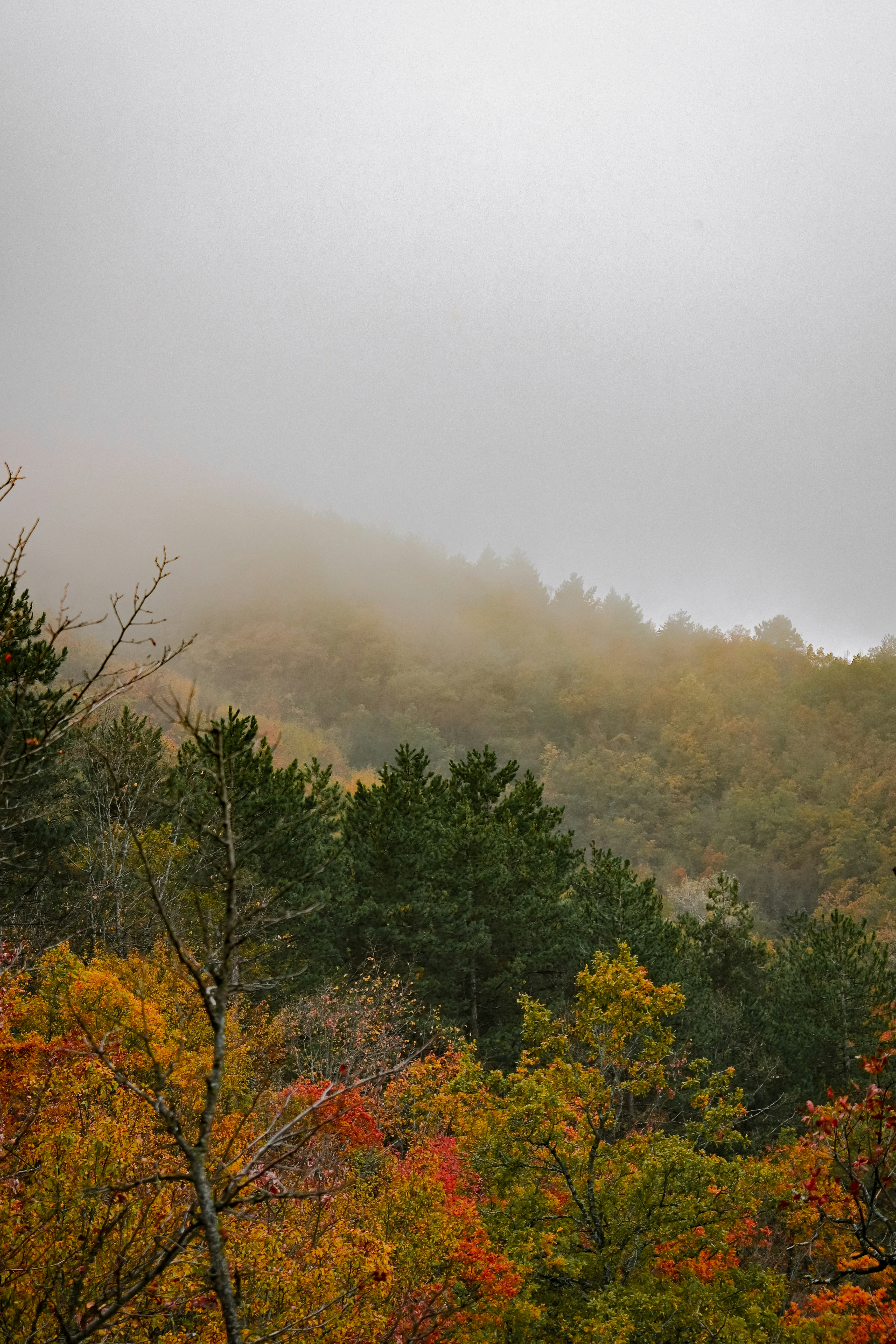 Photo by thesoftfilm