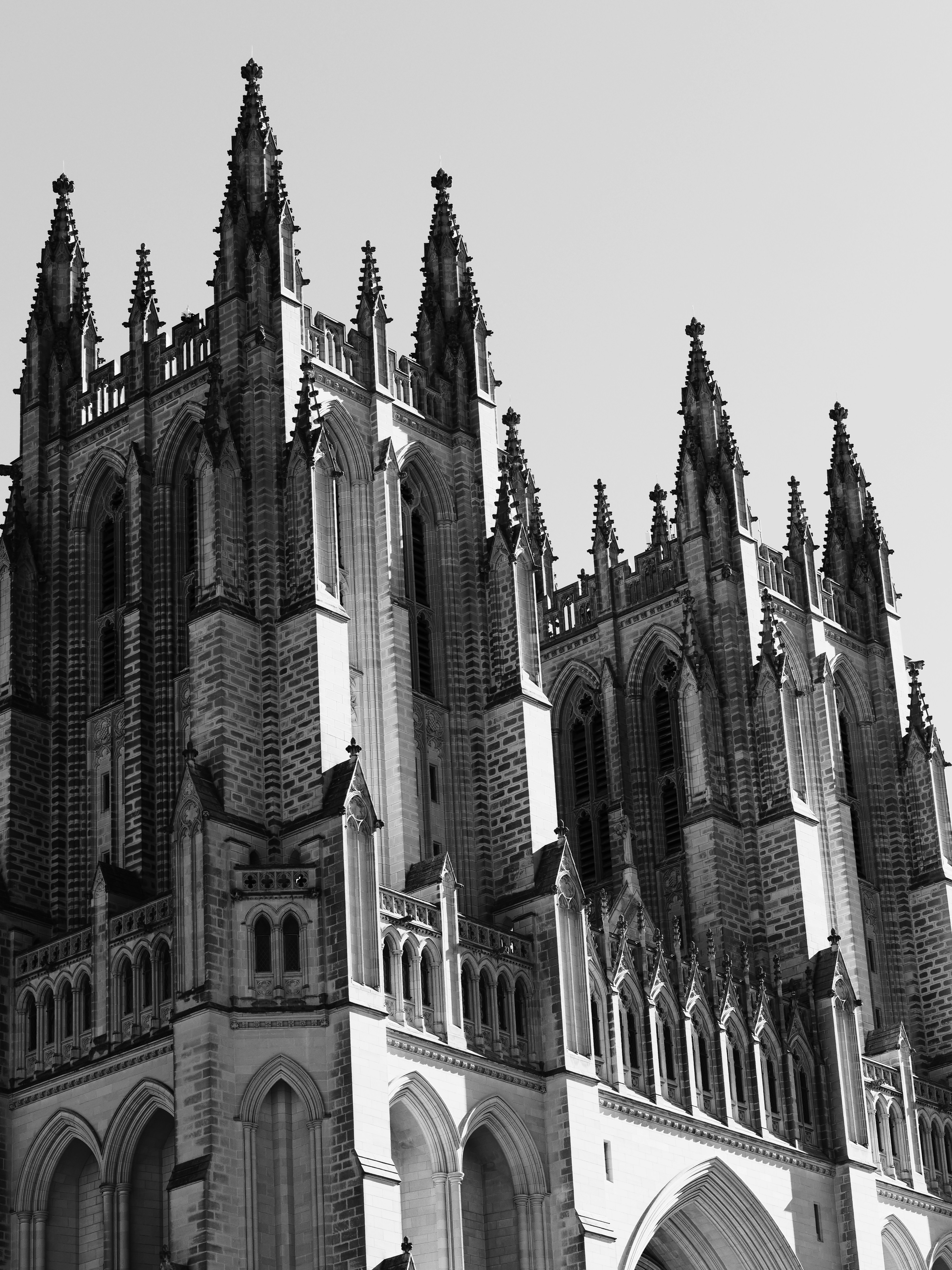 Photo by sschusterphotoart