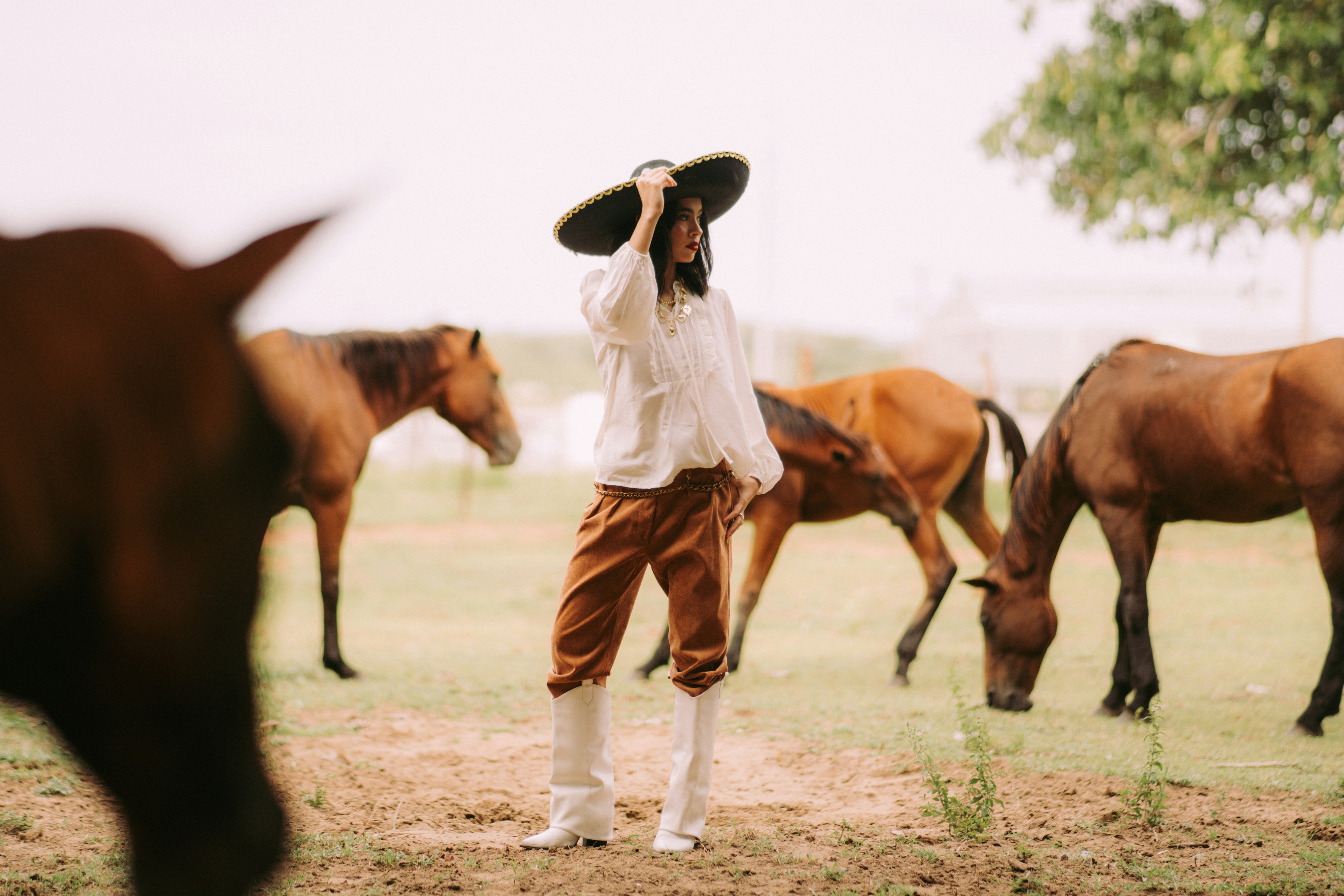 Man in cowboy hat with horses in a field