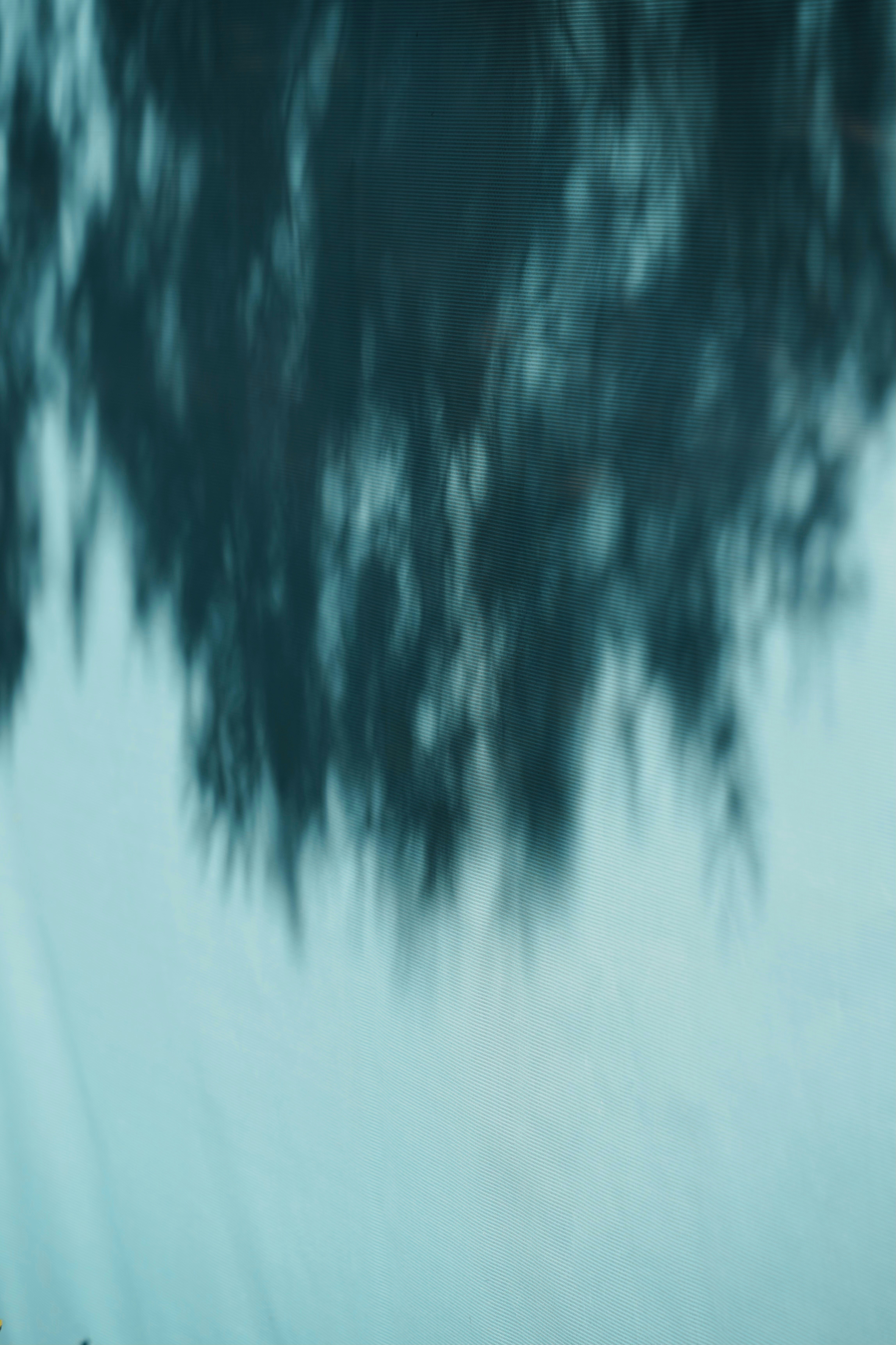 Photo by cardia_gong