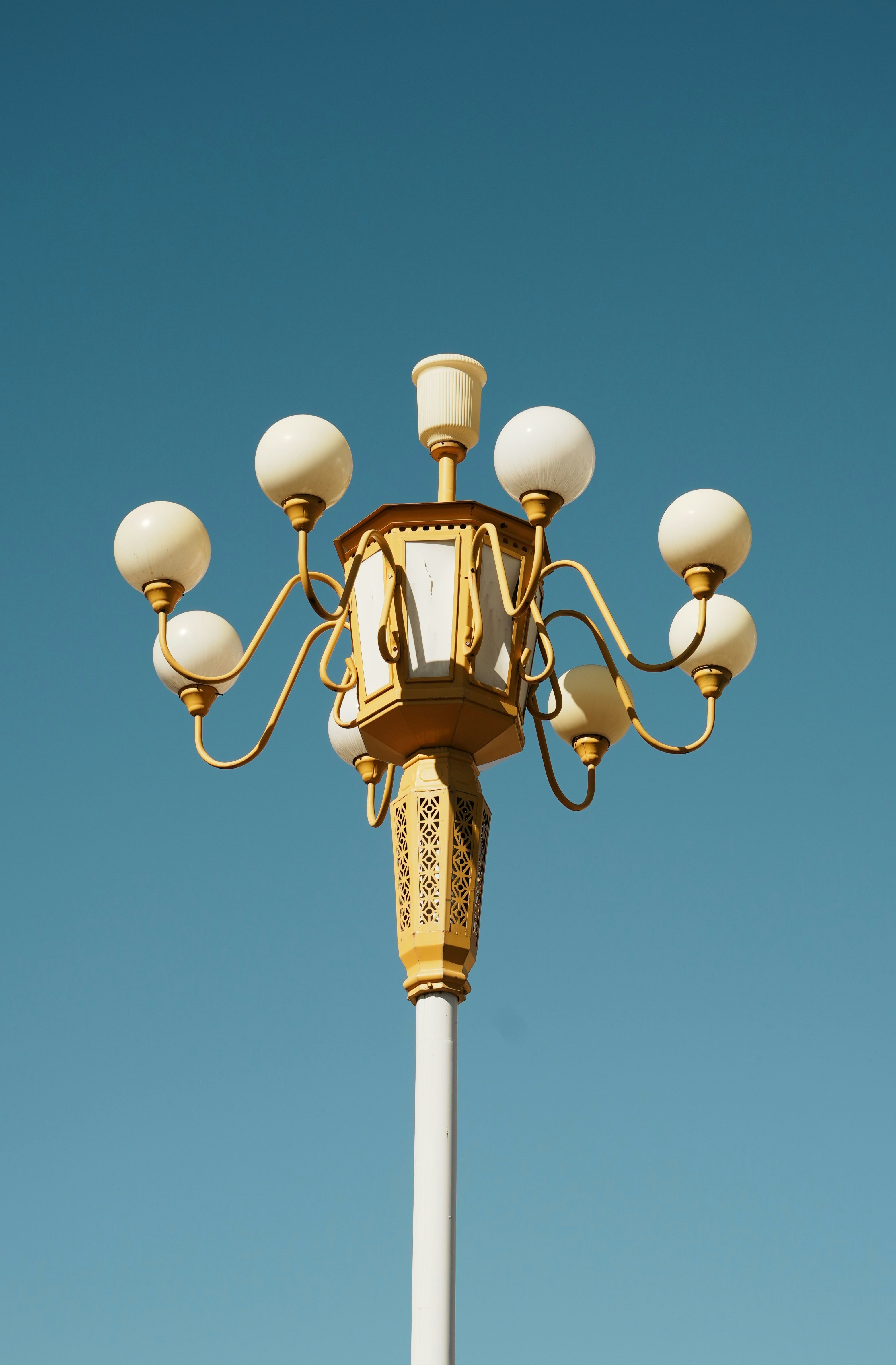 Photo by cardia_gong