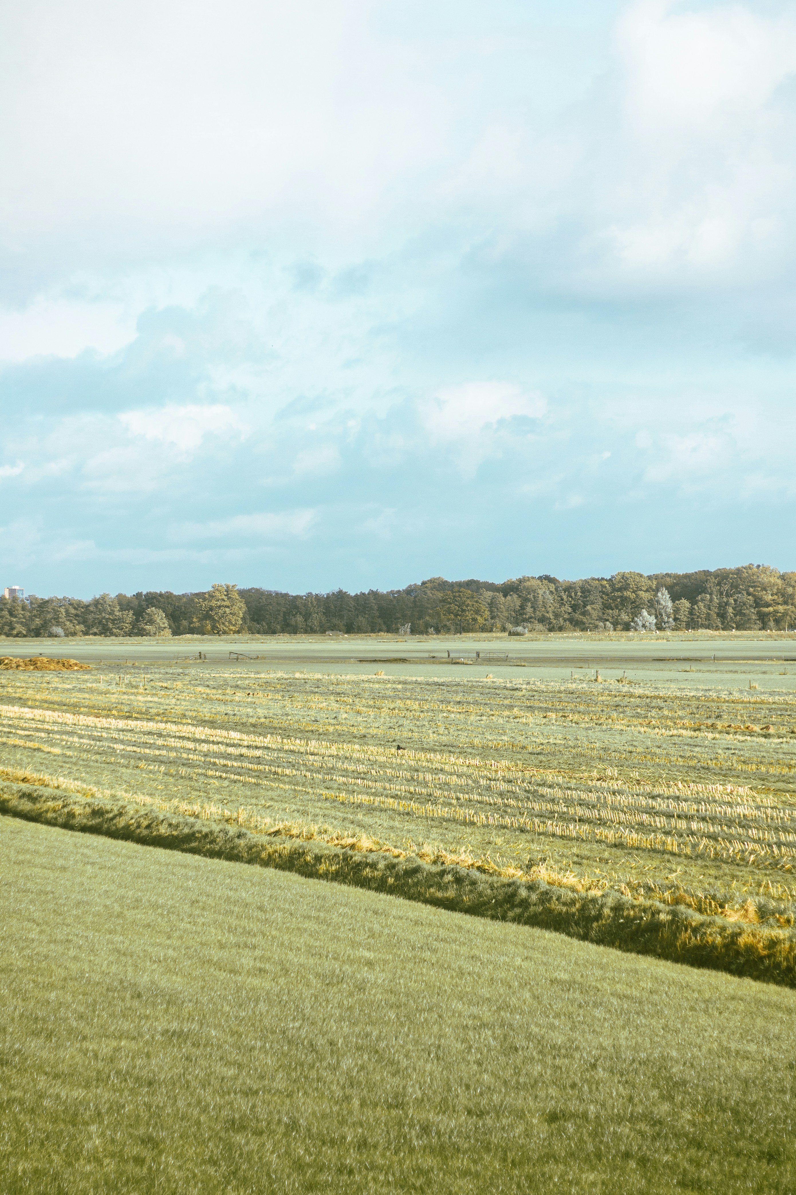 Photo by salescreations