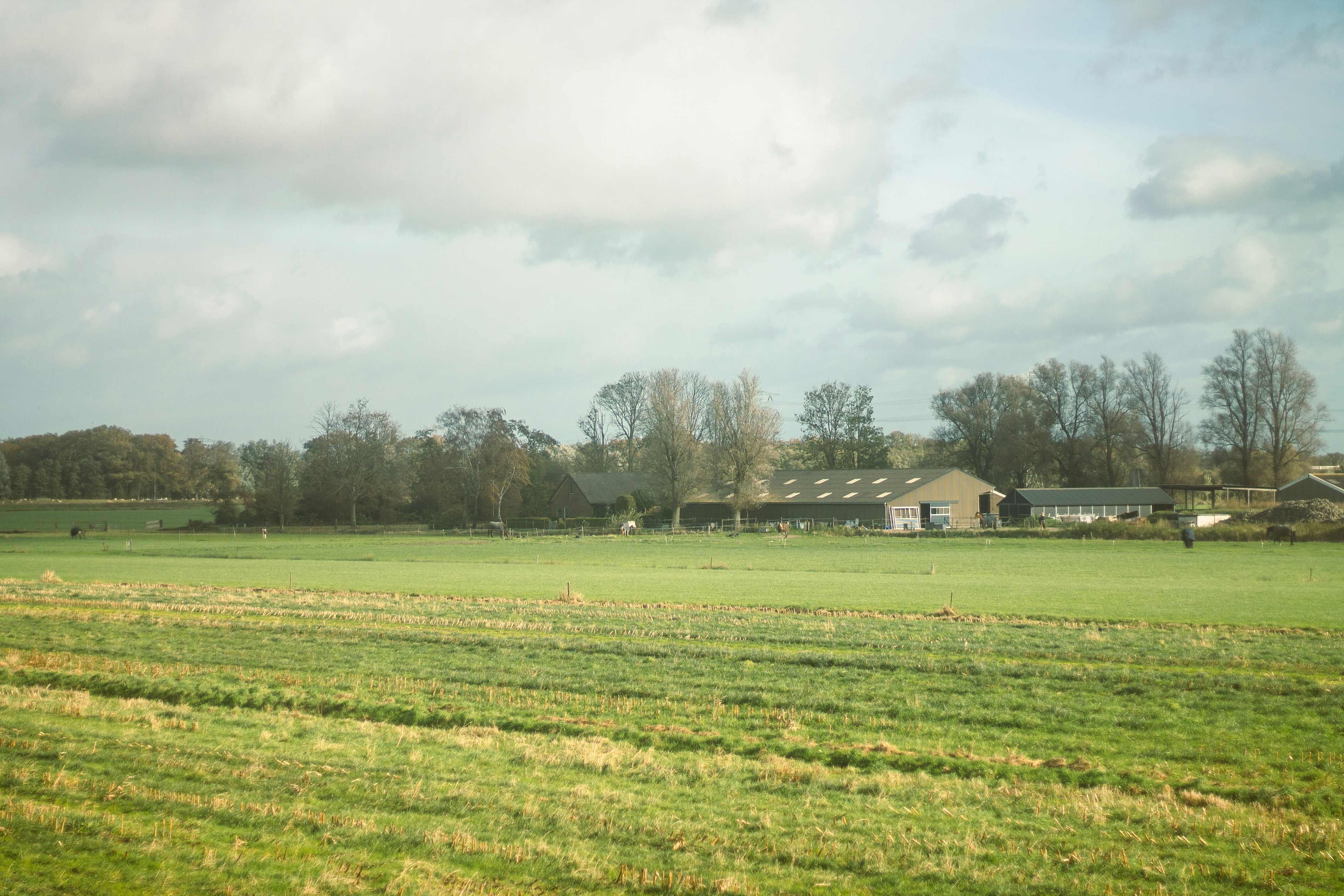 Farm buildings nestled among trees with green fields.