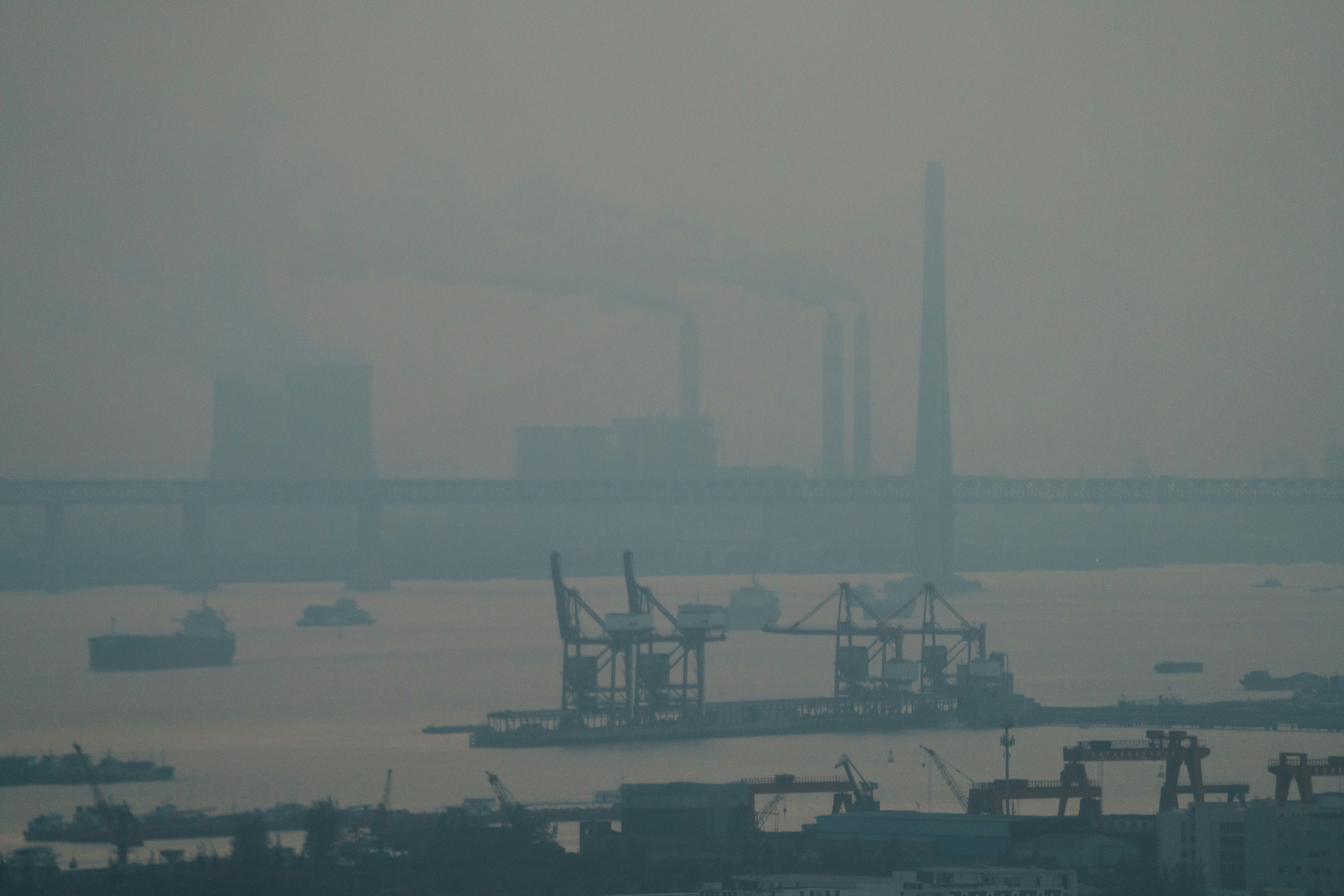 Photo by cardia_gong