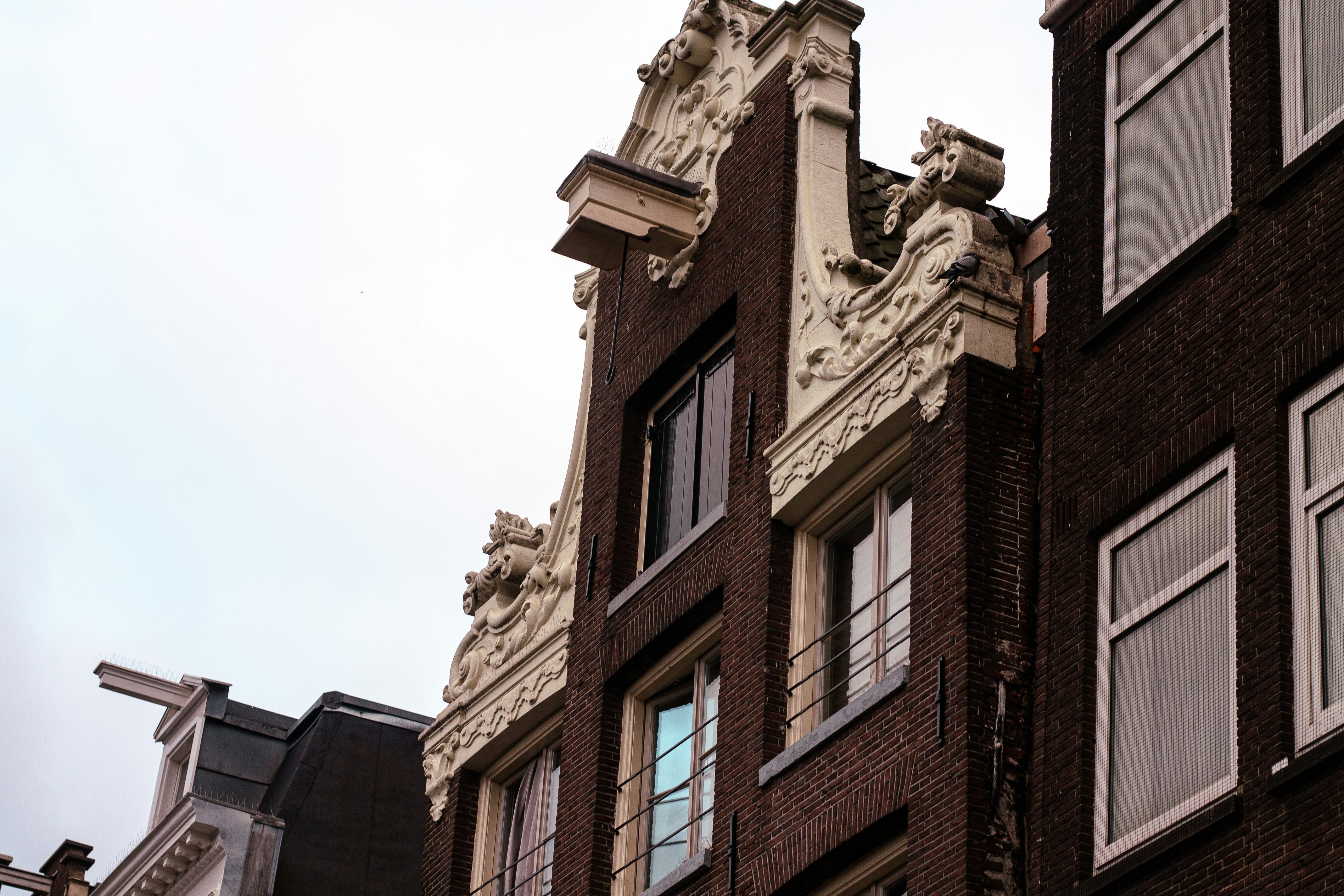 Ornate facades of historic amsterdam canal houses
