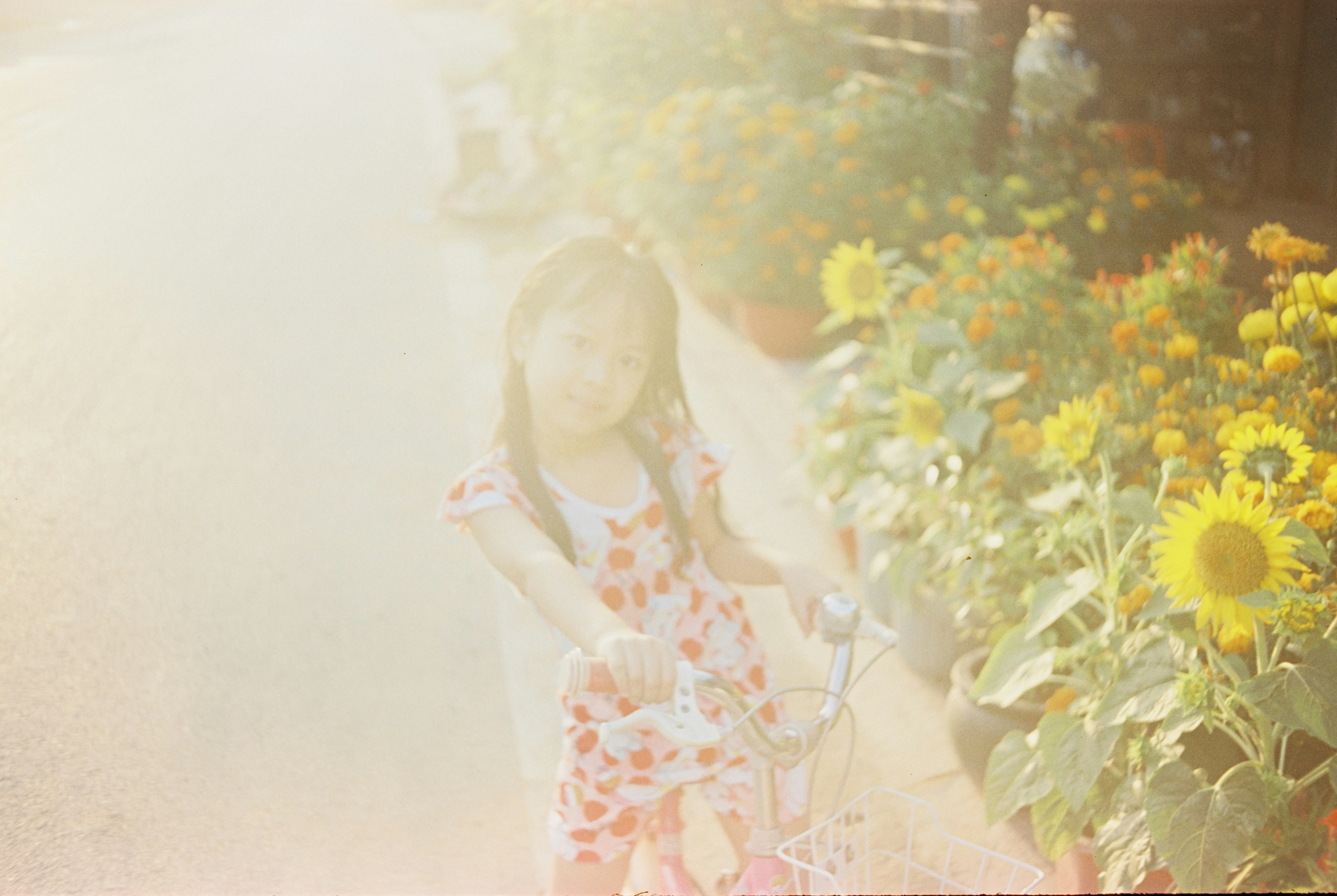 Photo by oanhchuplinhtinh