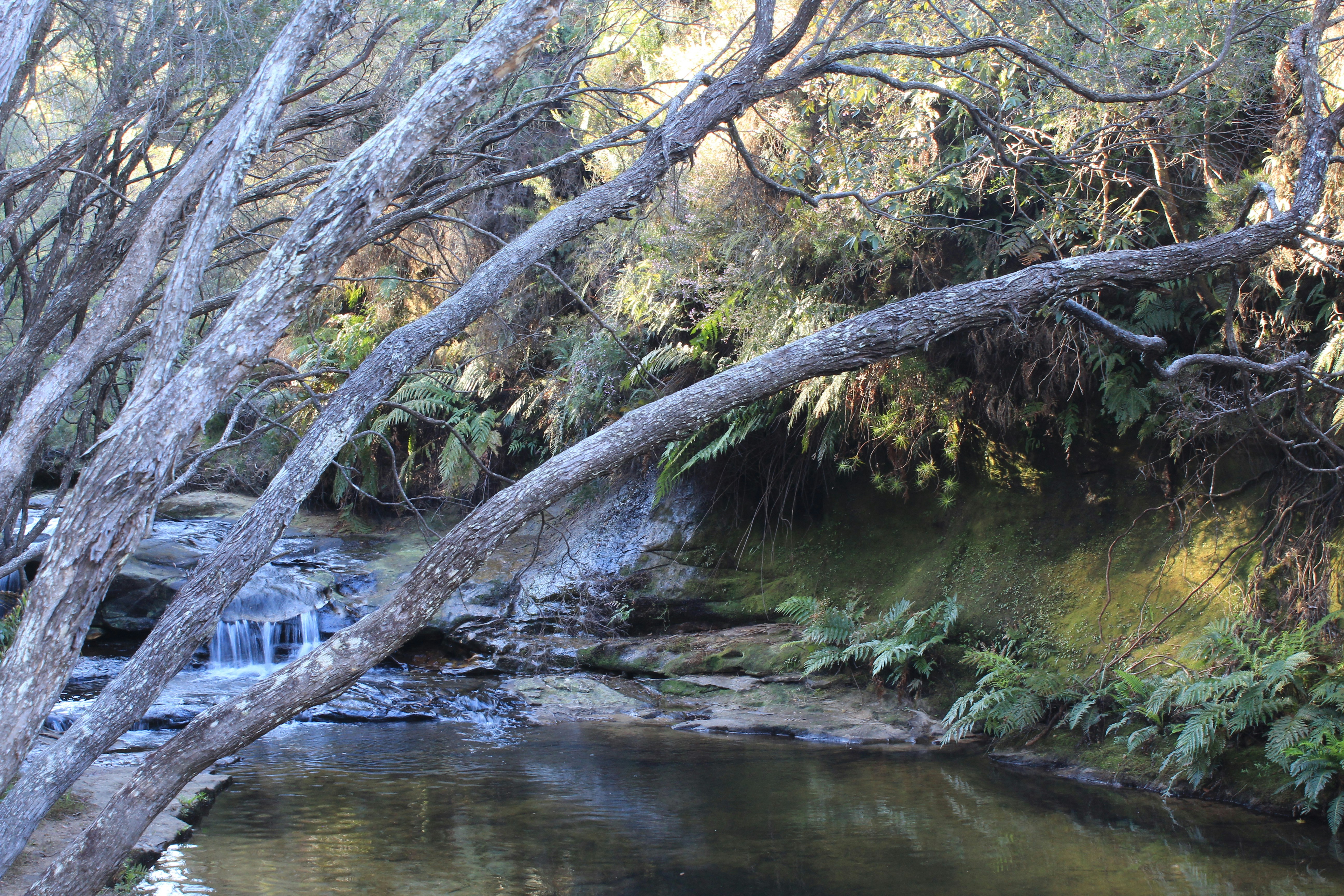 Photo by light_and_hope