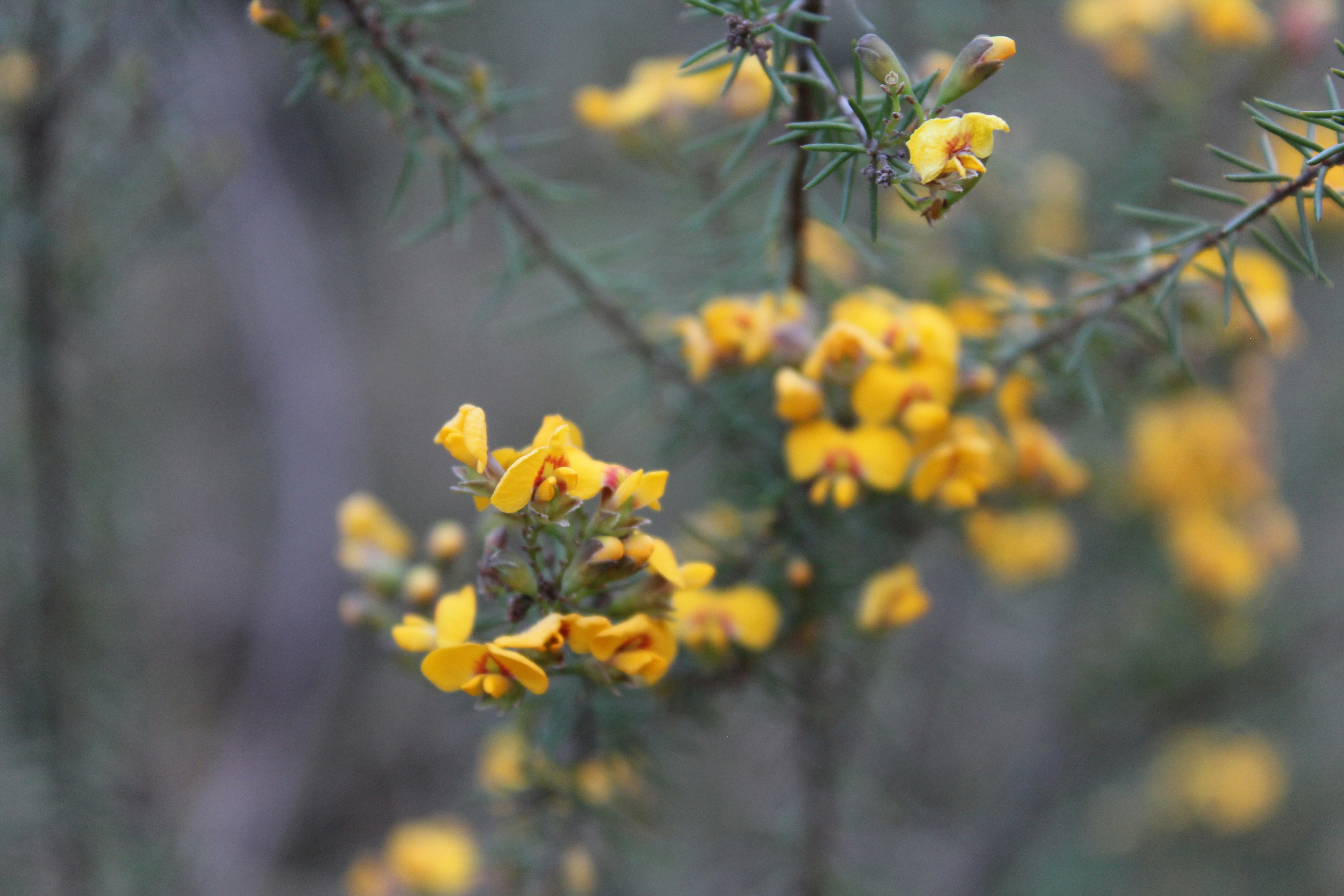 Photo by light_and_hope