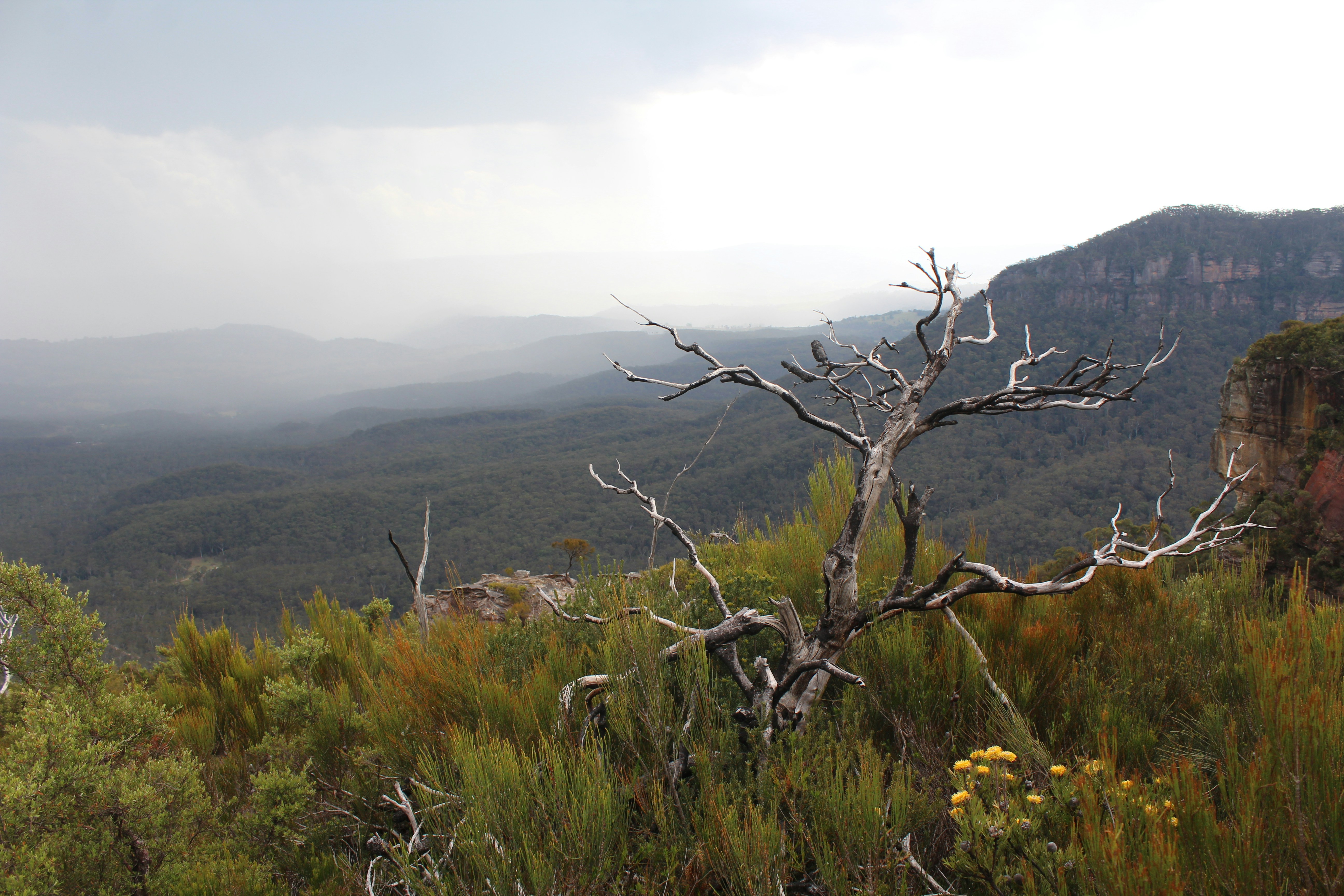 Photo by light_and_hope