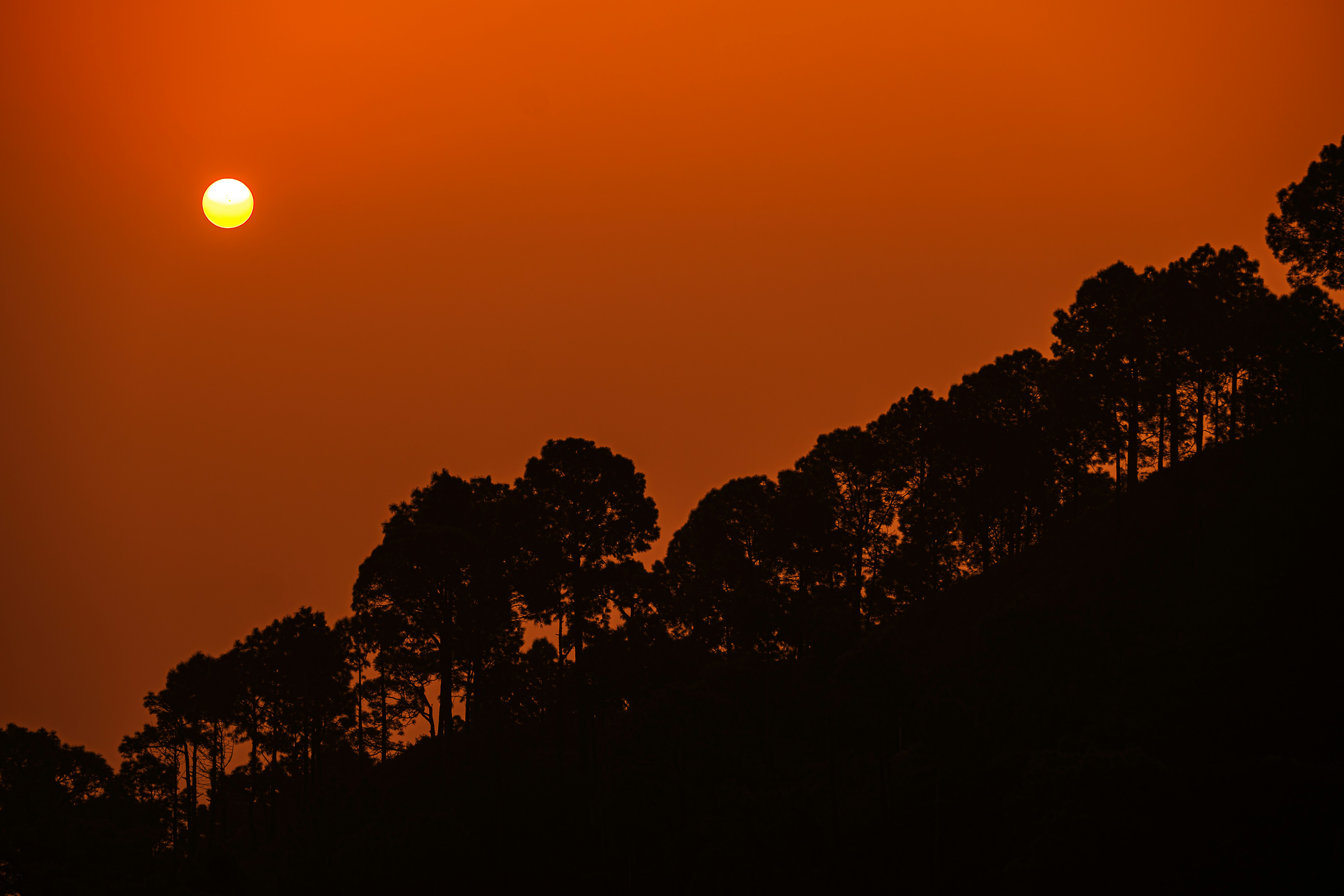 Photo by dhandavishal