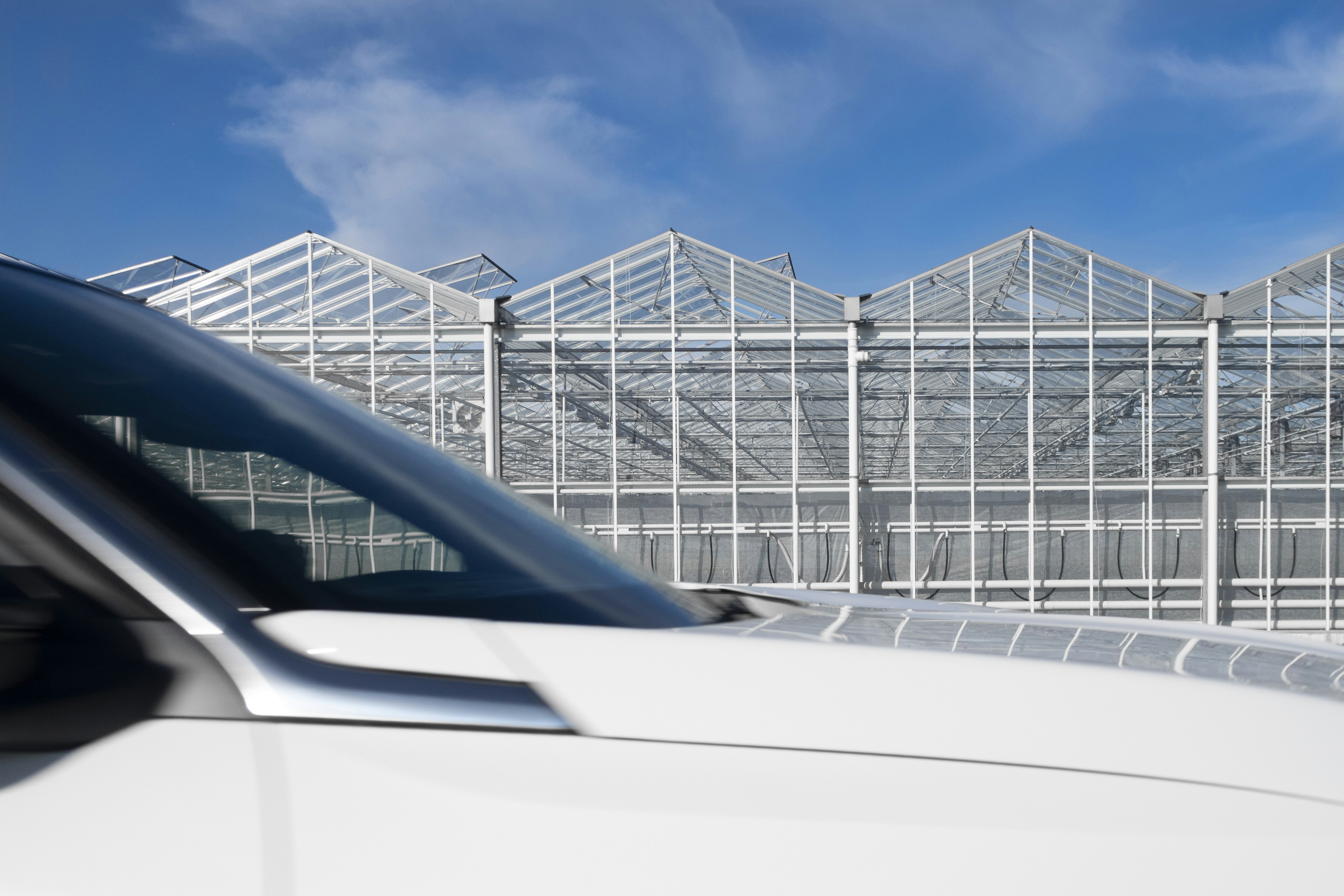 White car in front of glass greenhouses